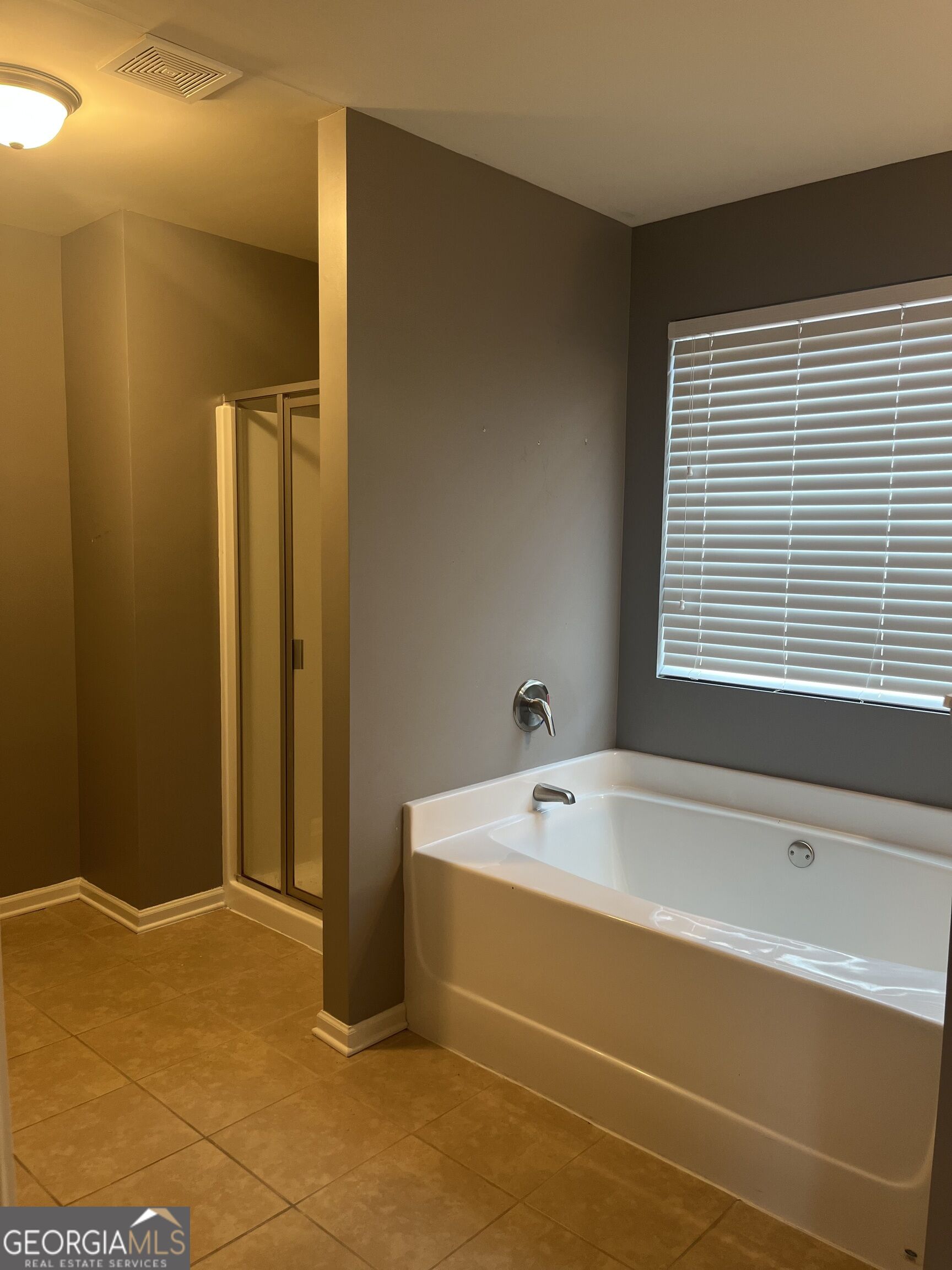 425 Village View Property Photo 38