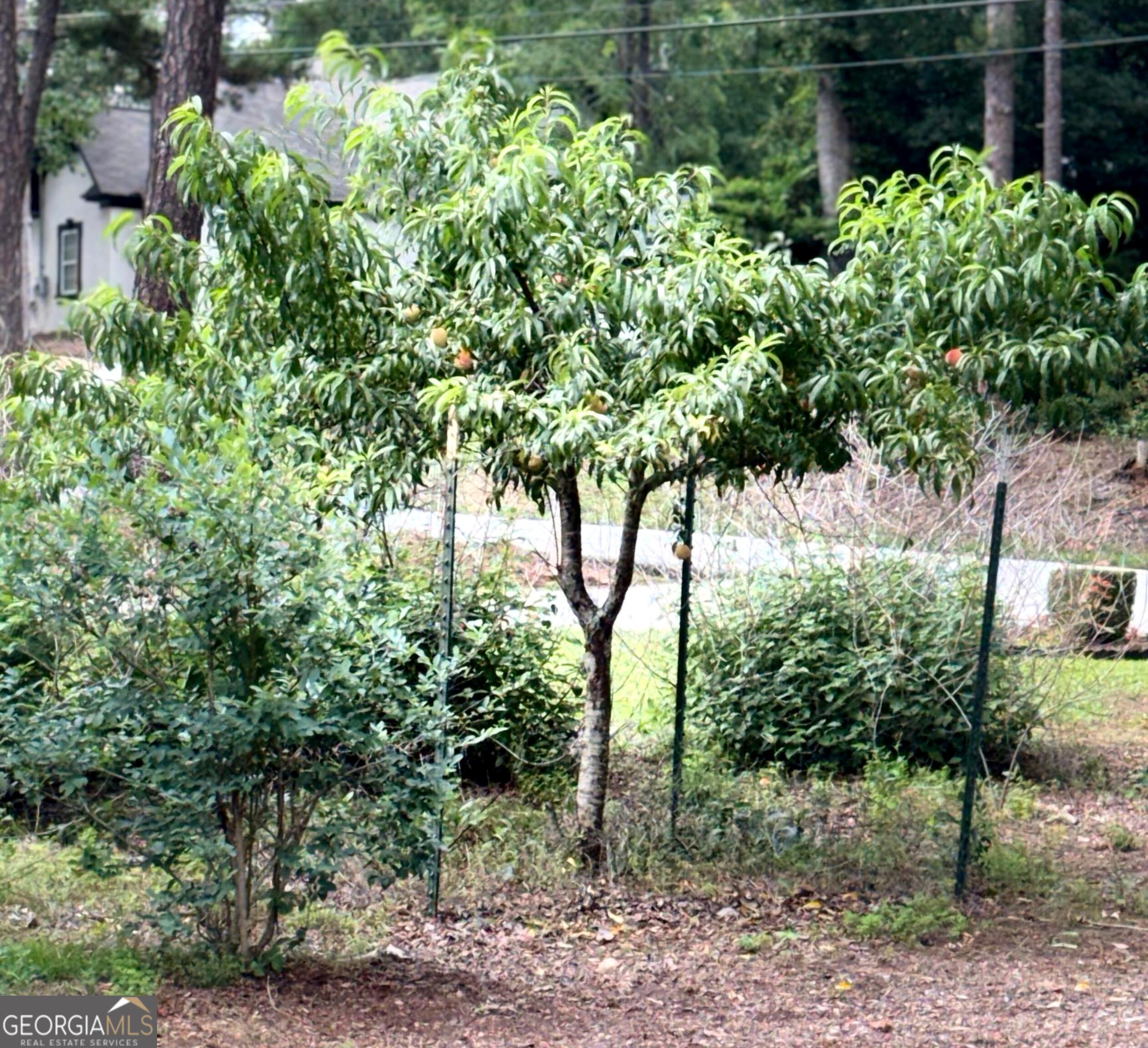 2904 Union Grove Road Property Photo 63
