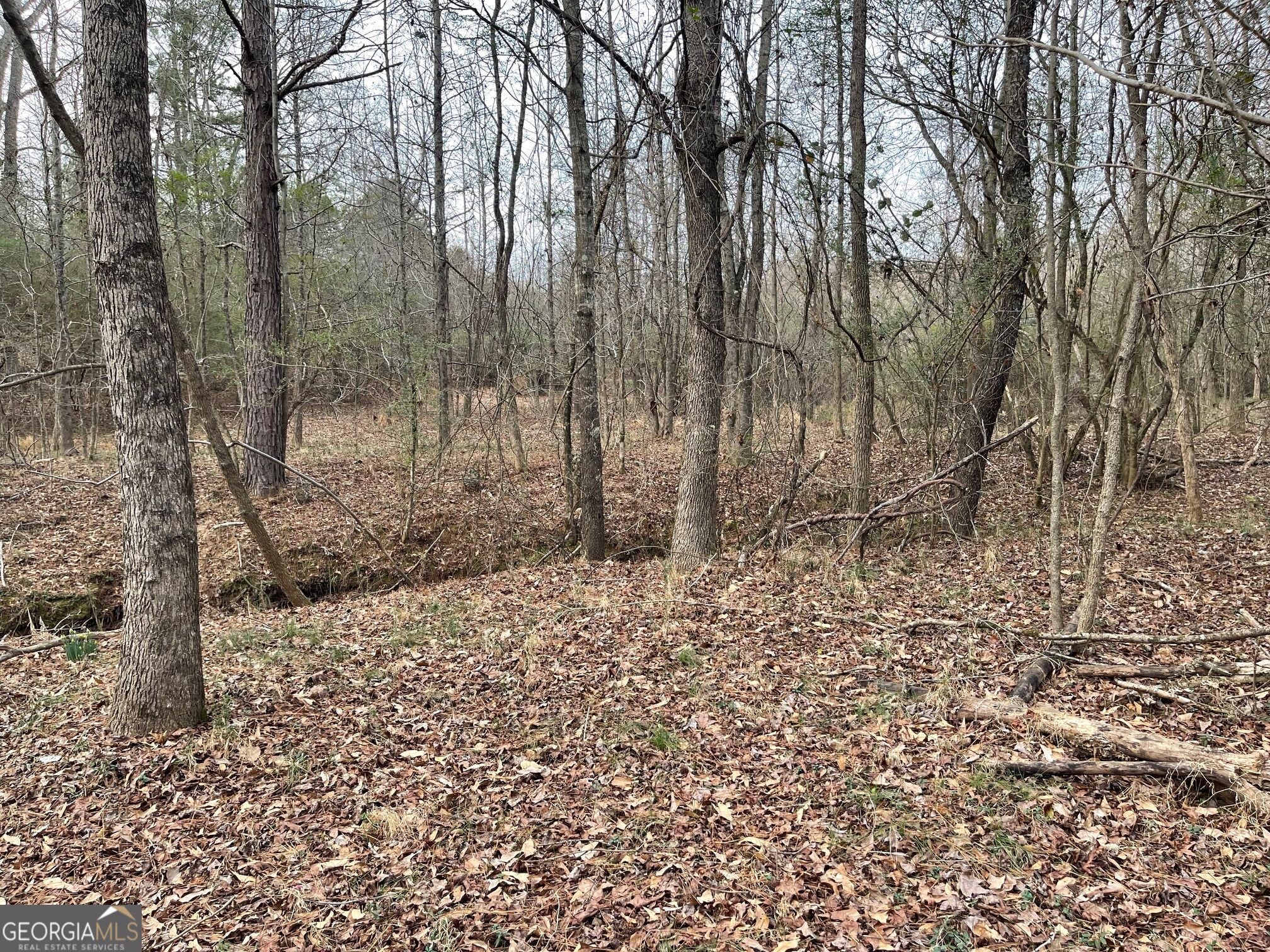 884 Jackson Trail Road Property Photo 11