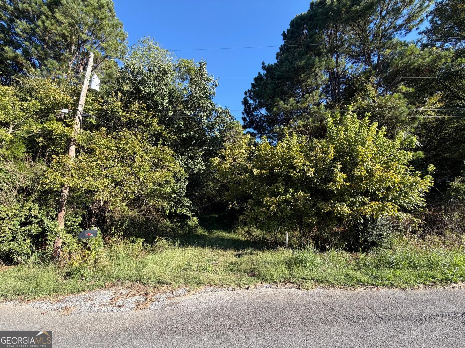 441 New Zion Property Photo 3