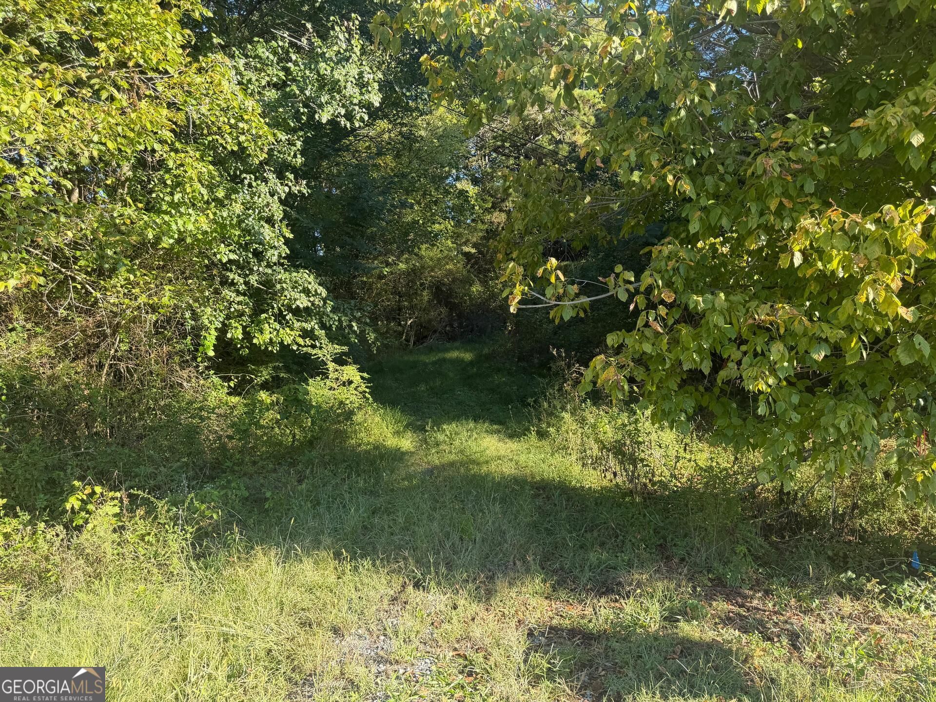 441 New Zion Property Photo 4