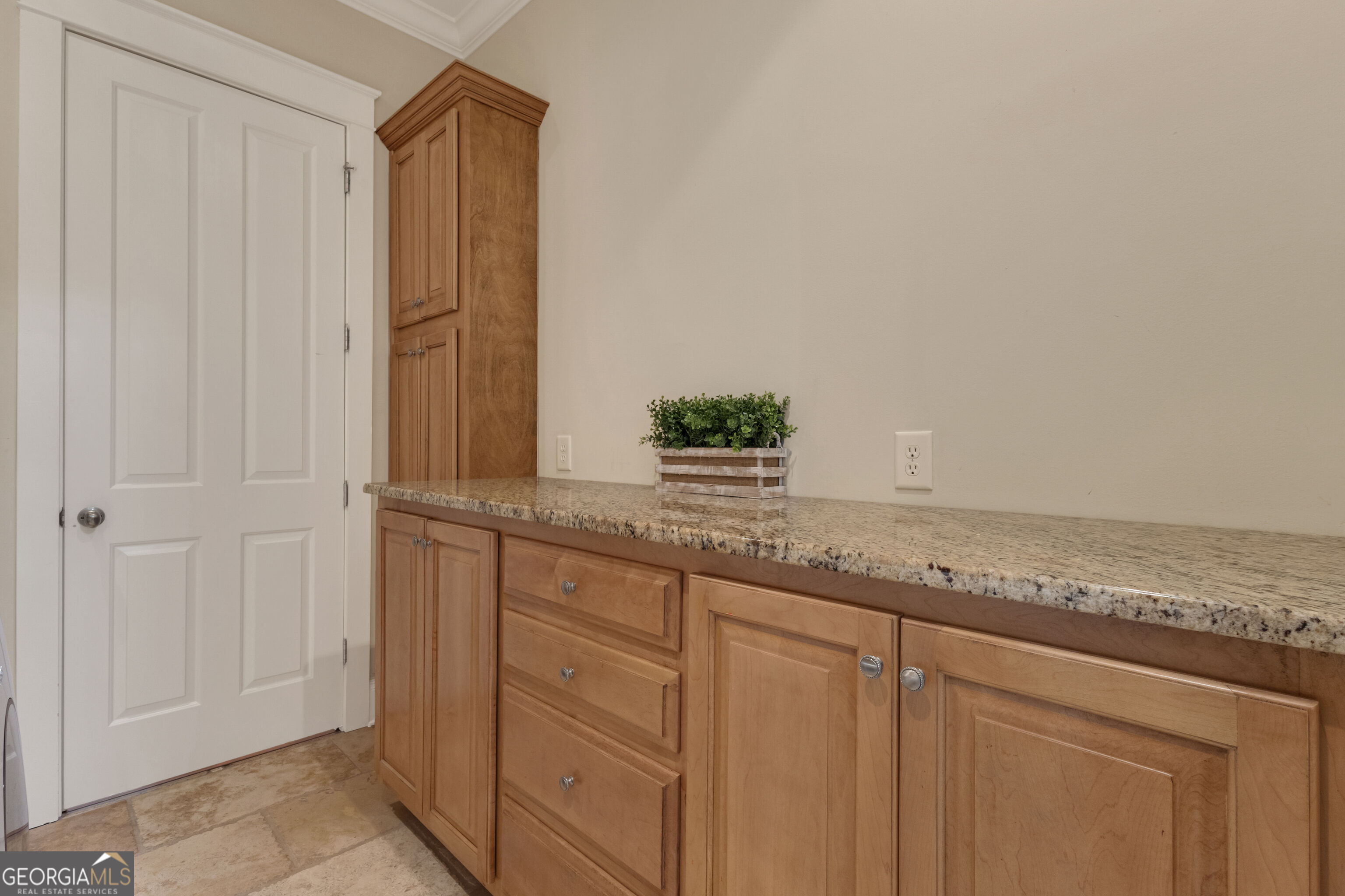 323 Beaumont Farms Drive Property Photo 54