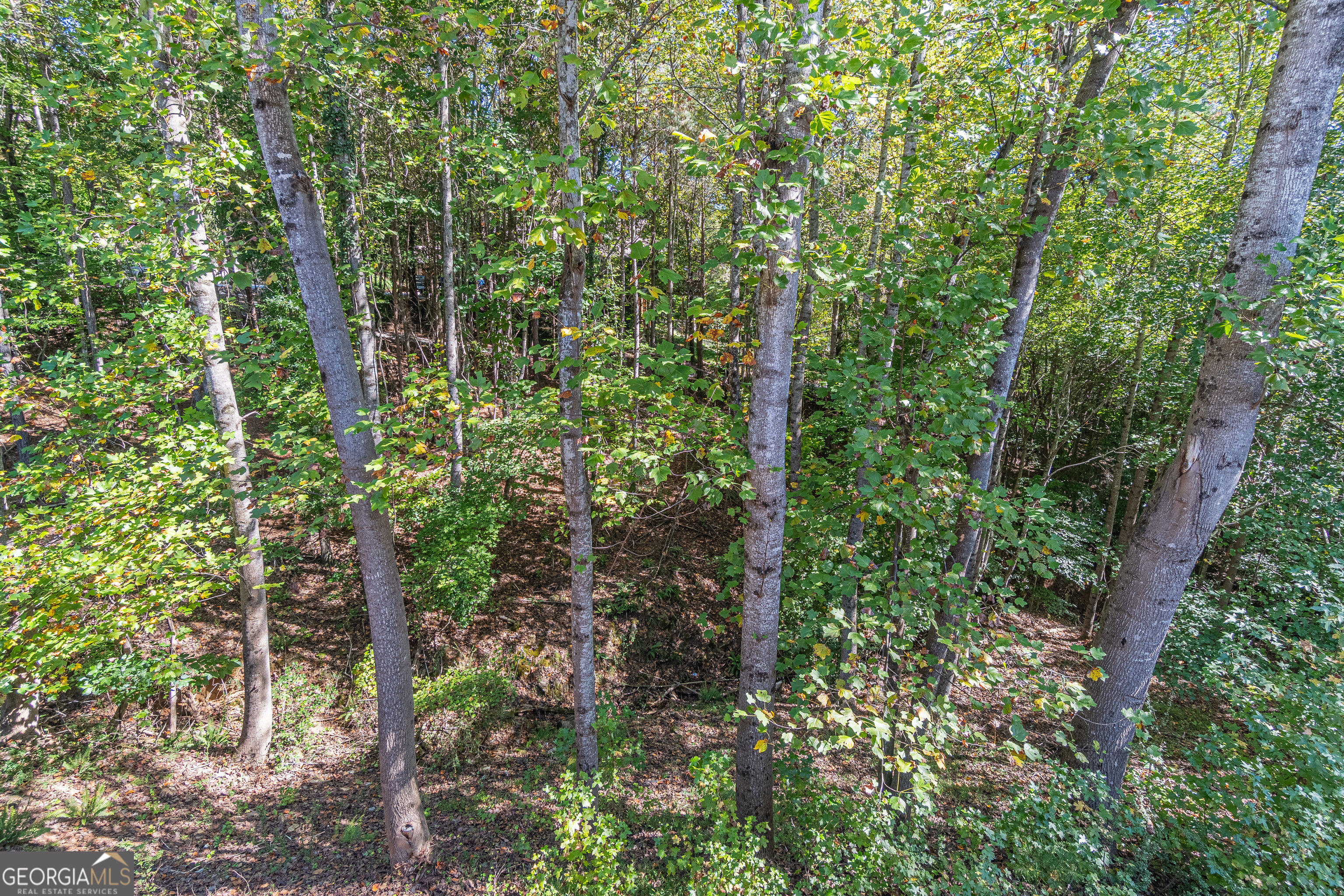 3401 Country Lane Property Photo 51