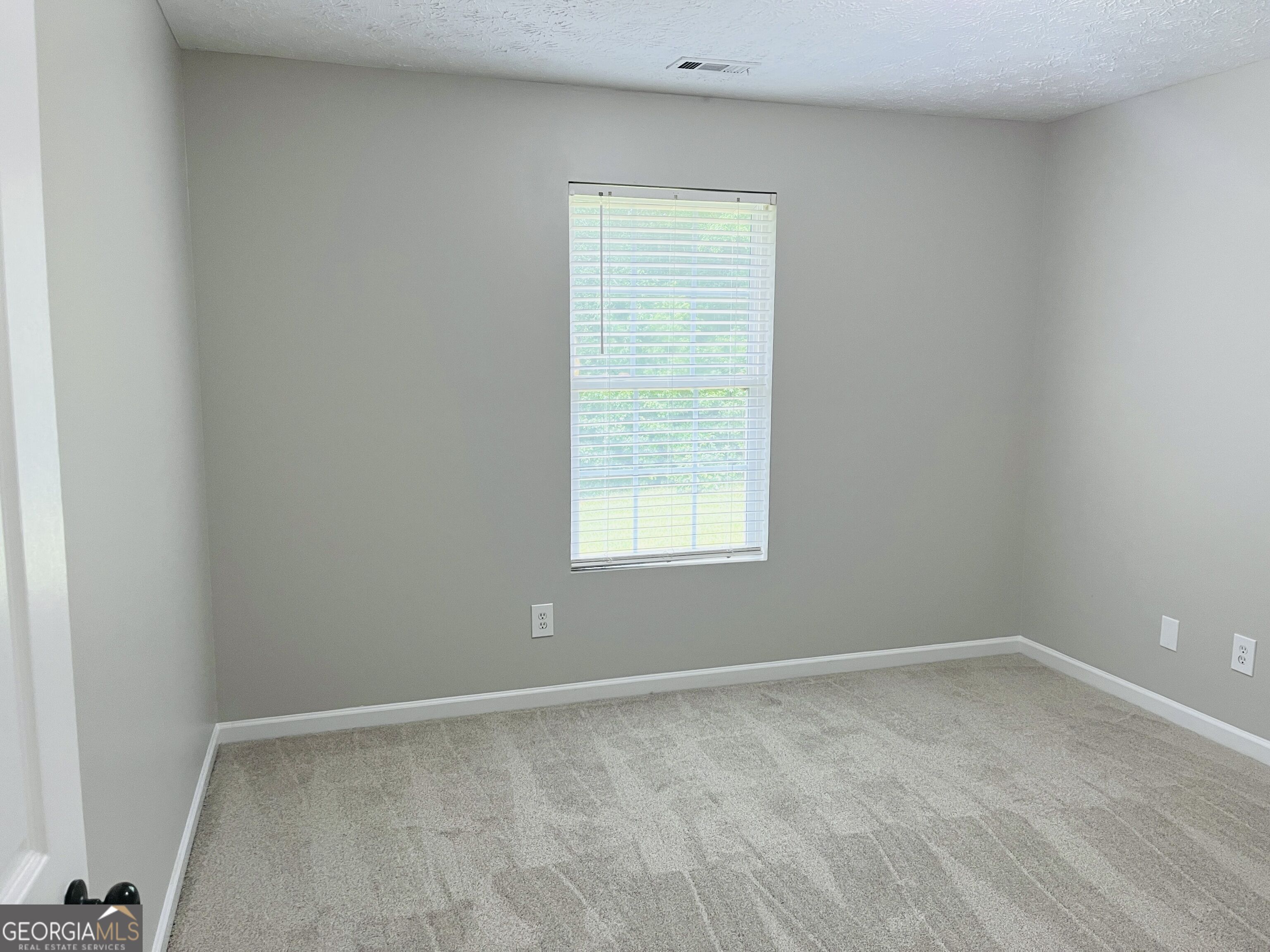 185 Hidden Brook Trail Property Photo 22