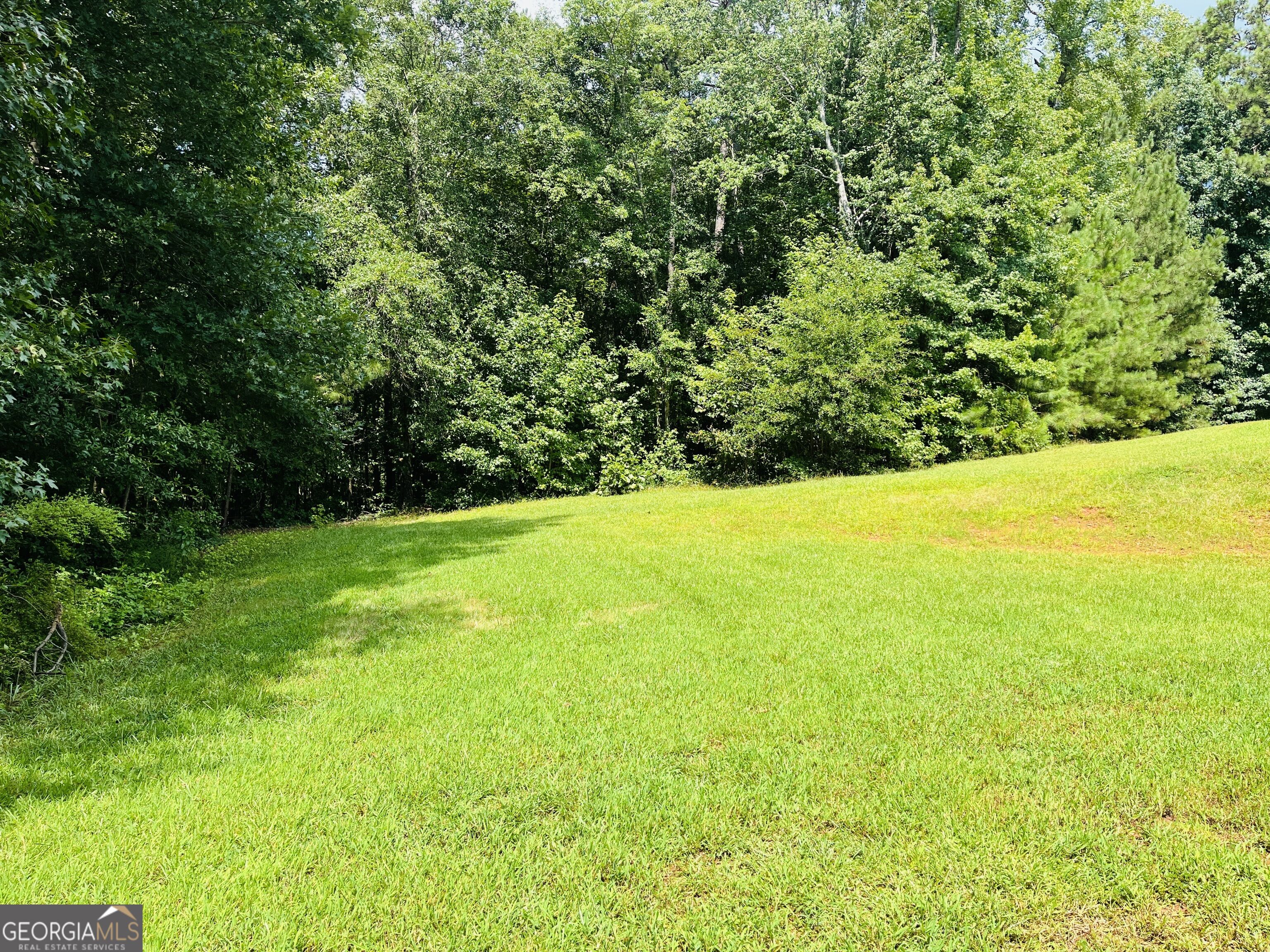 185 Hidden Brook Trail Property Photo 52
