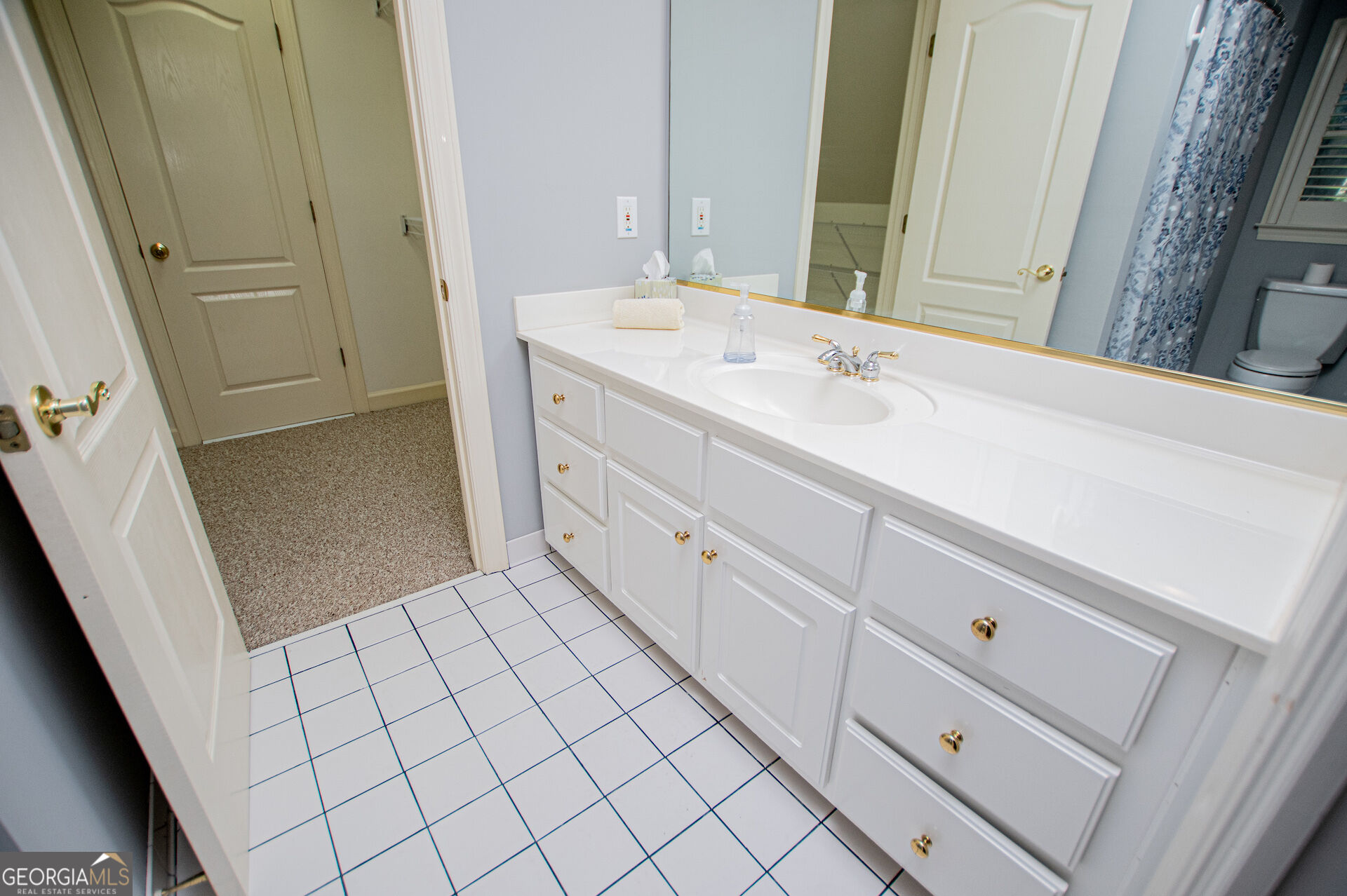 101 Shady Valley Court Property Photo 69
