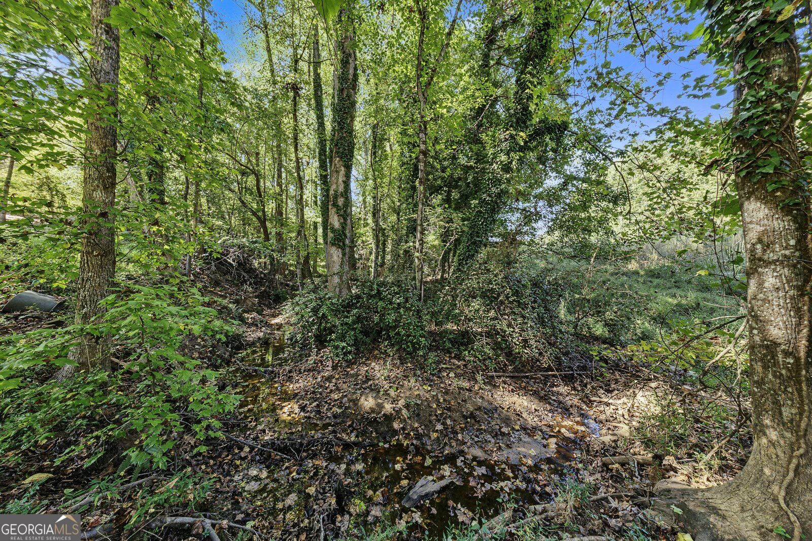 708 Cobb Trail Property Photo 9