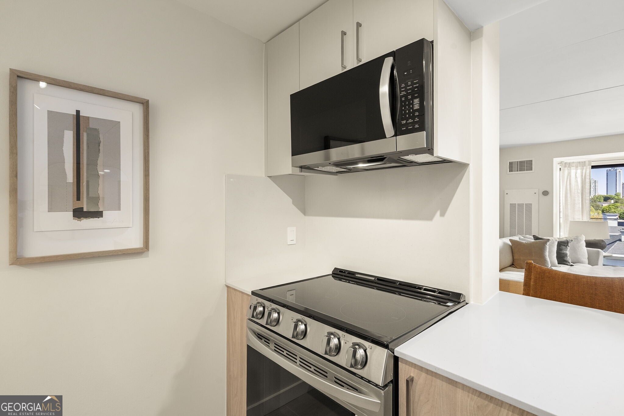2460 Peachtree Road Ne # 309 Property Photo 8