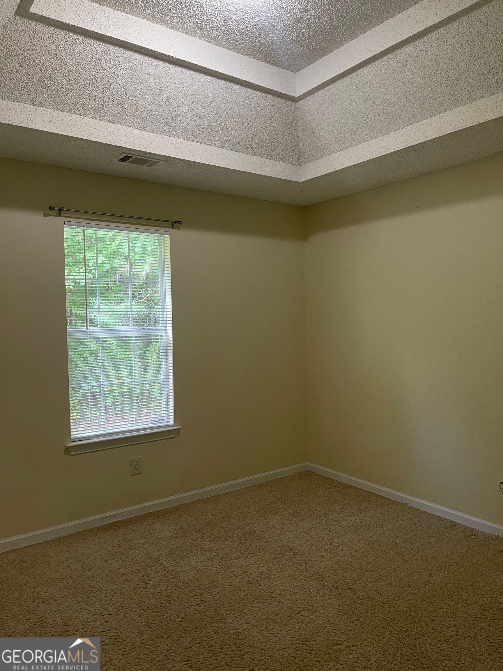 206 Goldleaf Drive Property Photo 11