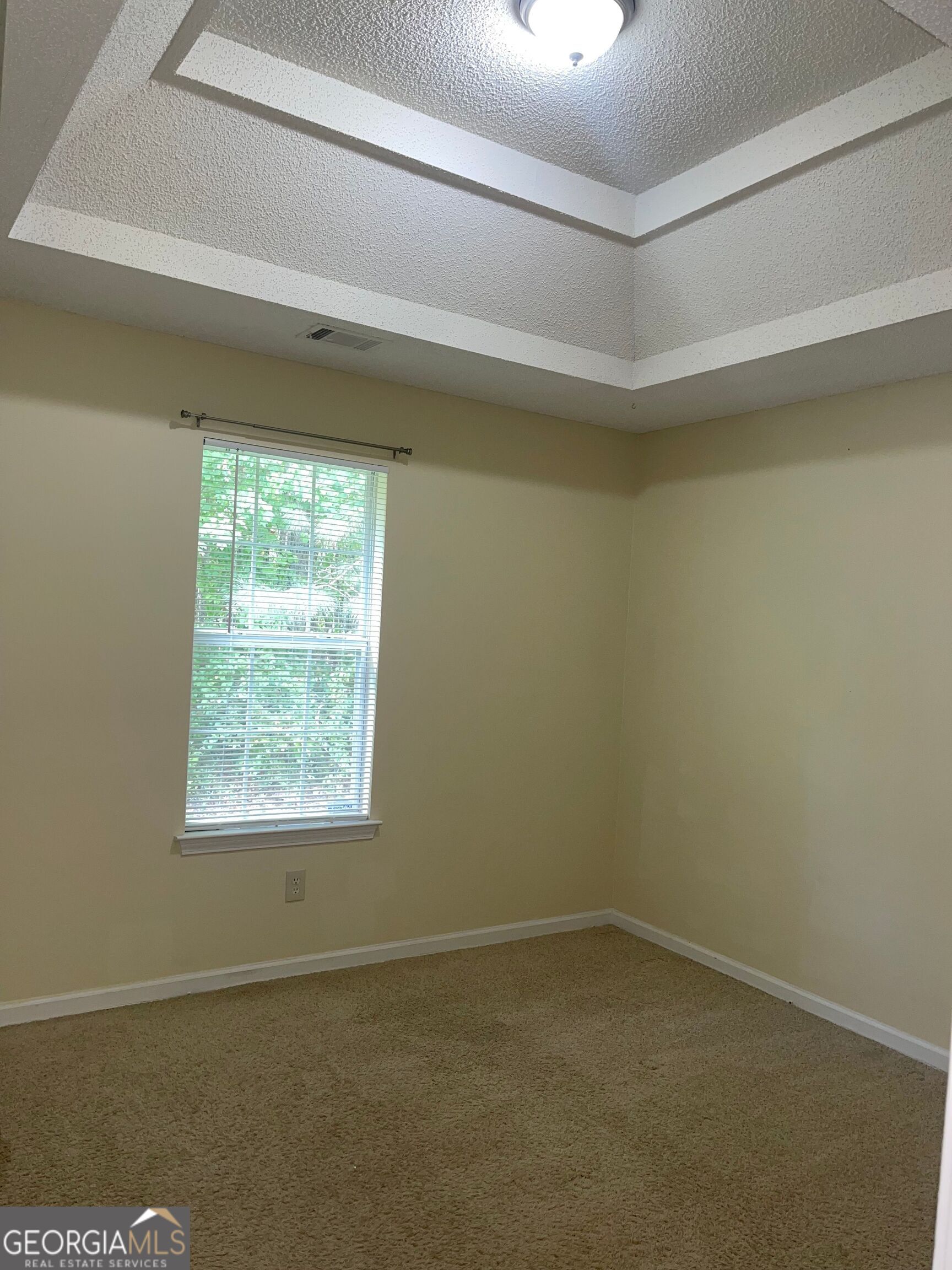 206 Goldleaf Drive Property Photo 13