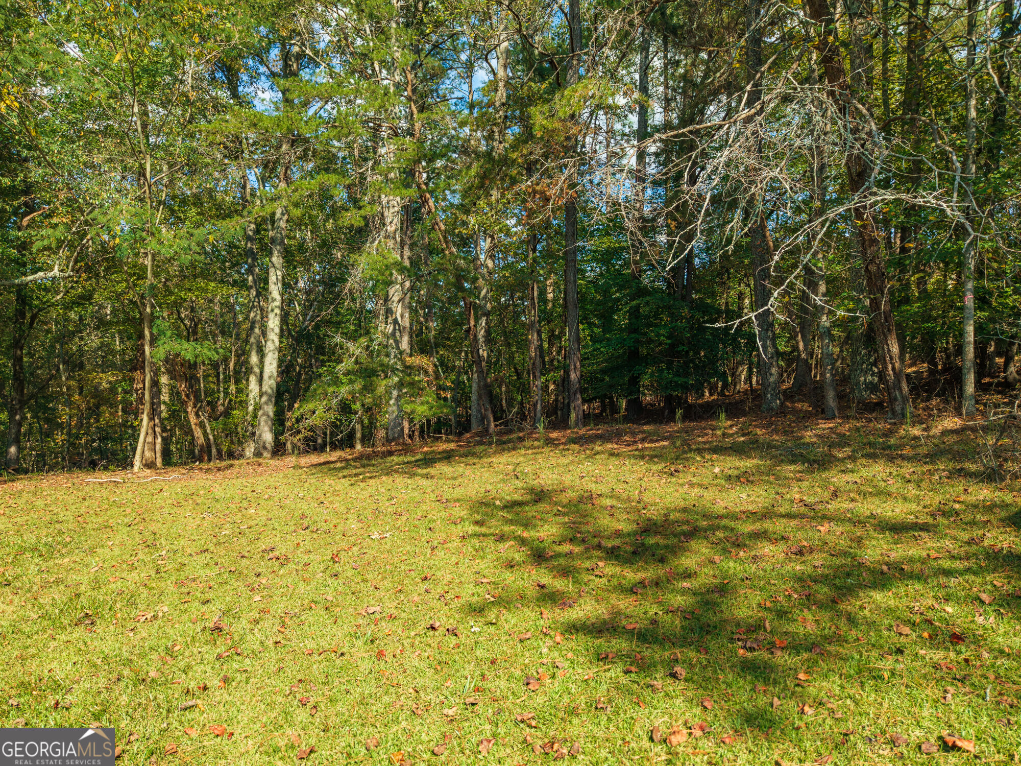 469 Flatbottom Road Property Photo 3