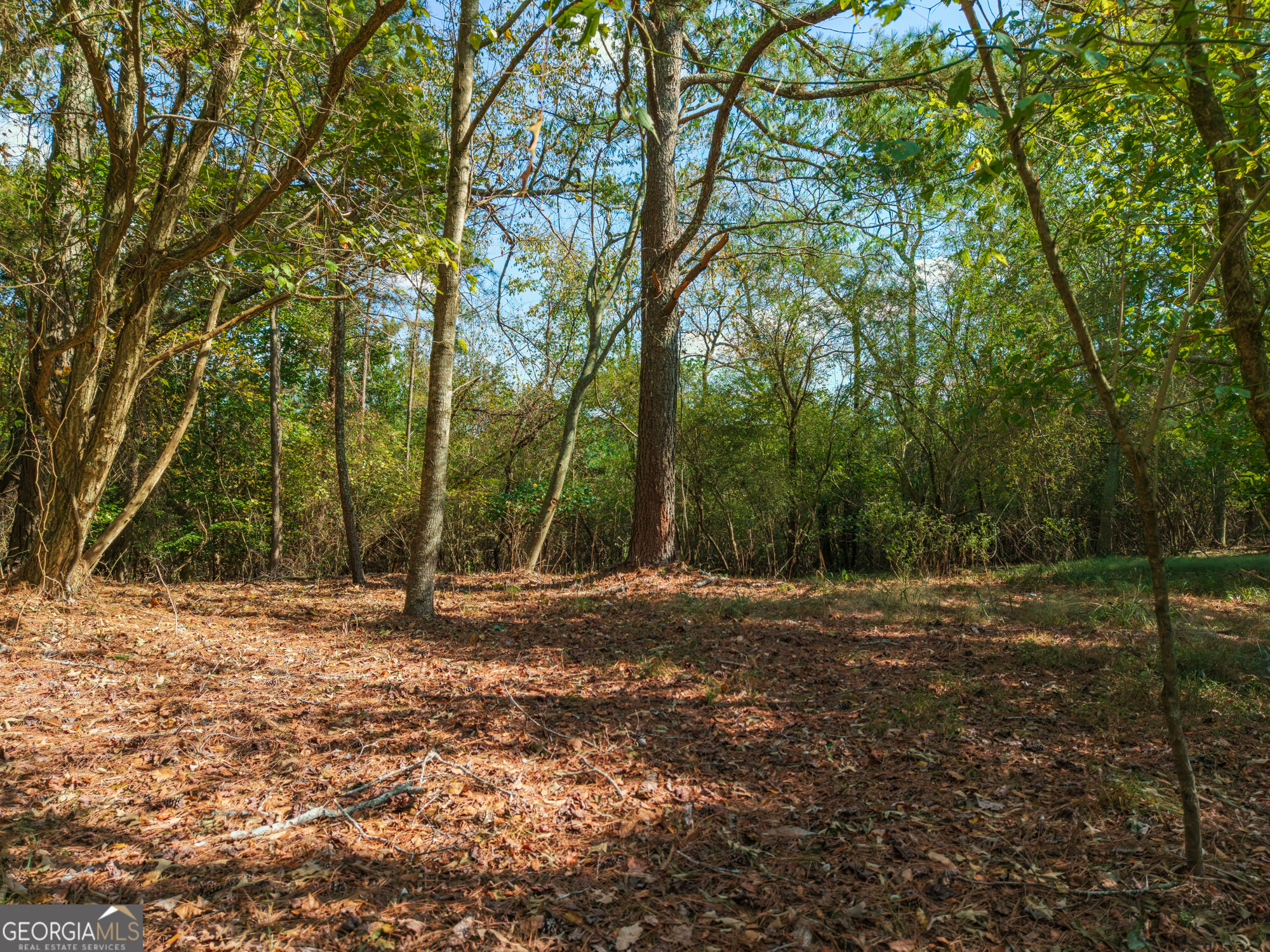 469 Flatbottom Road Property Photo 9