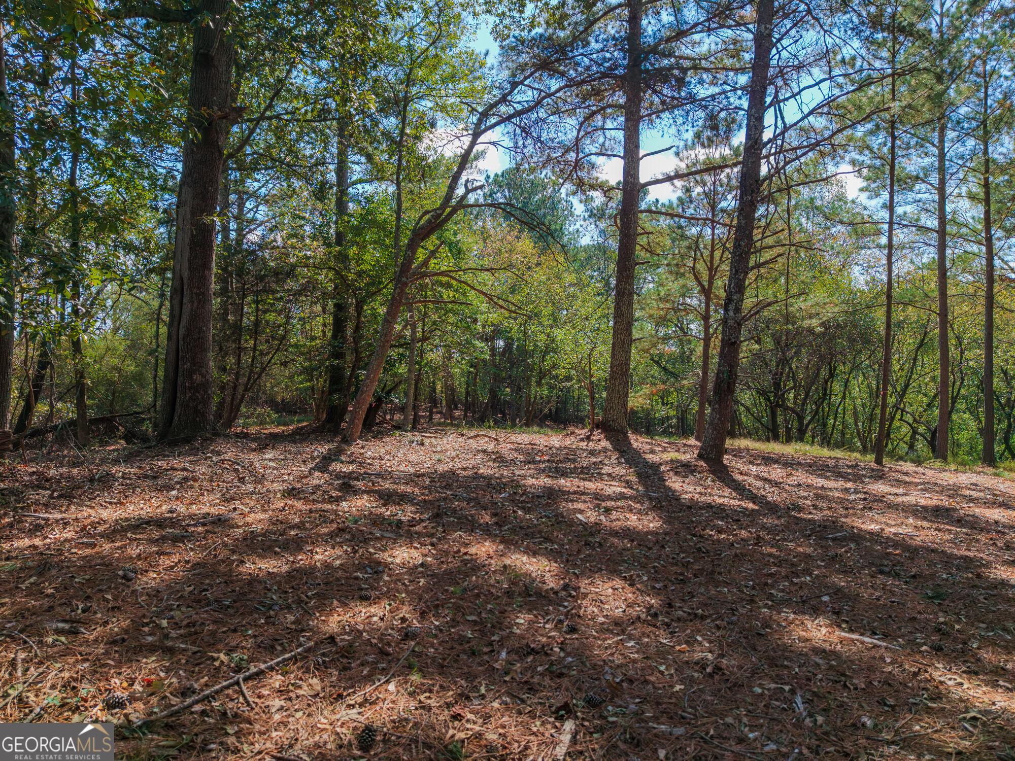 469 Flatbottom Road Property Photo 10