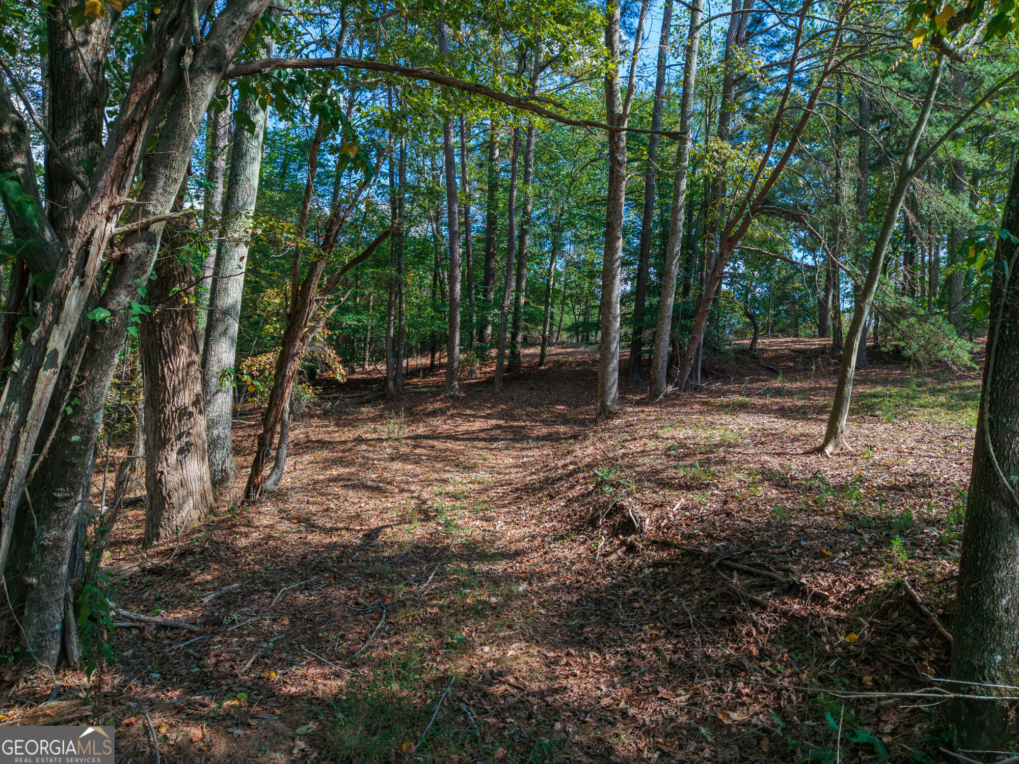 469 Flatbottom Road Property Photo 12