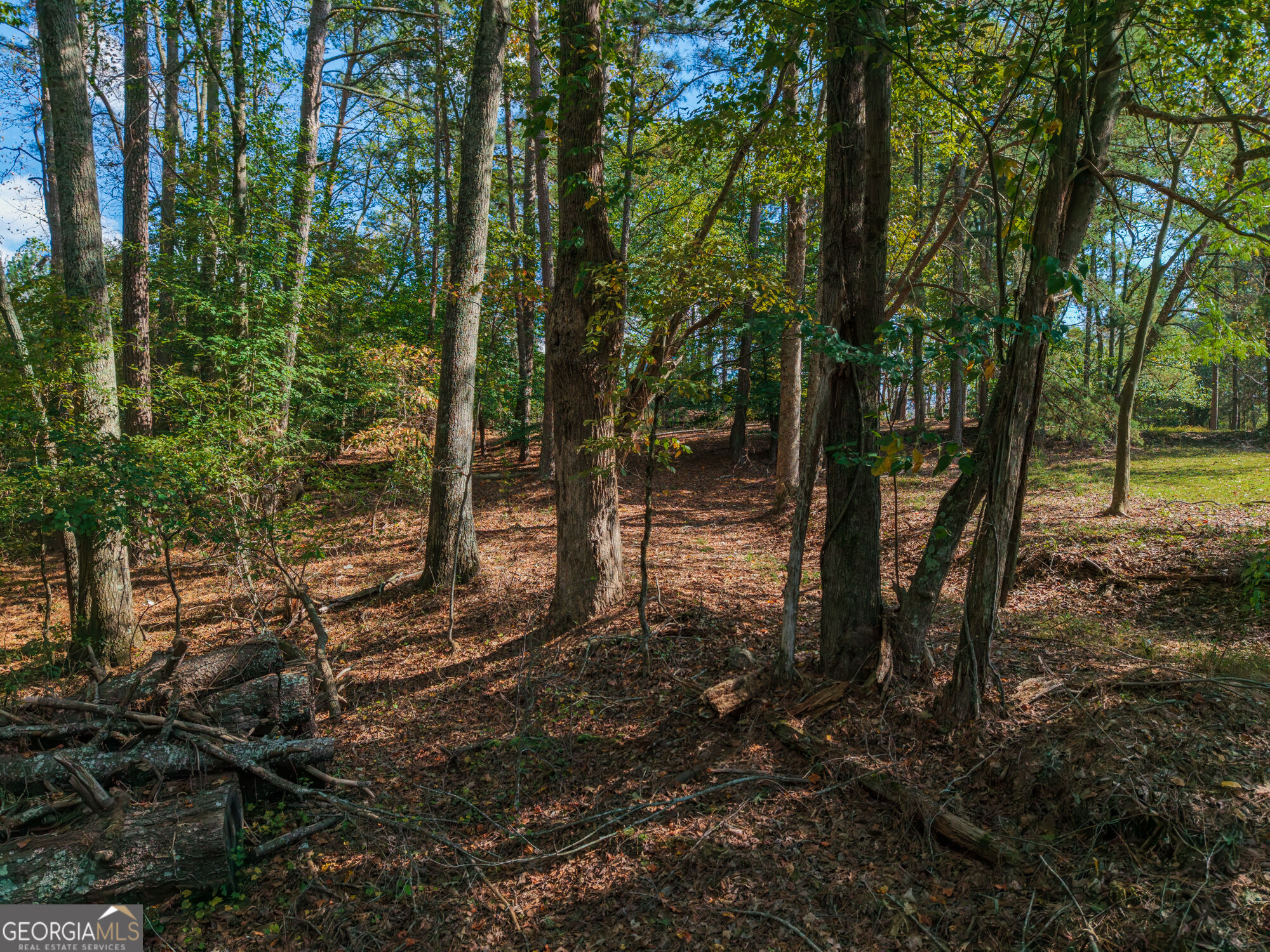 469 Flatbottom Road Property Photo 13