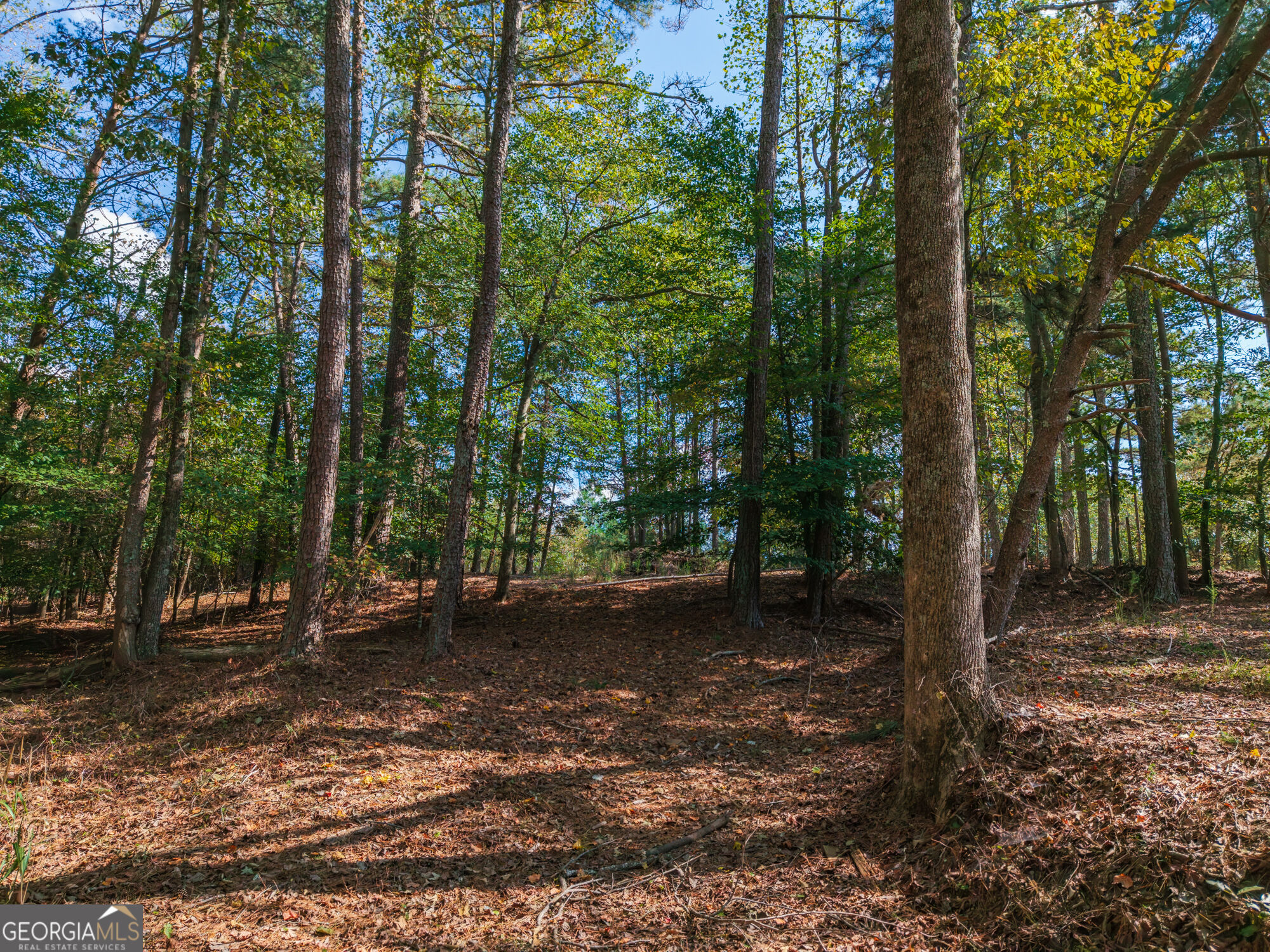 469 Flatbottom Road Property Photo 14