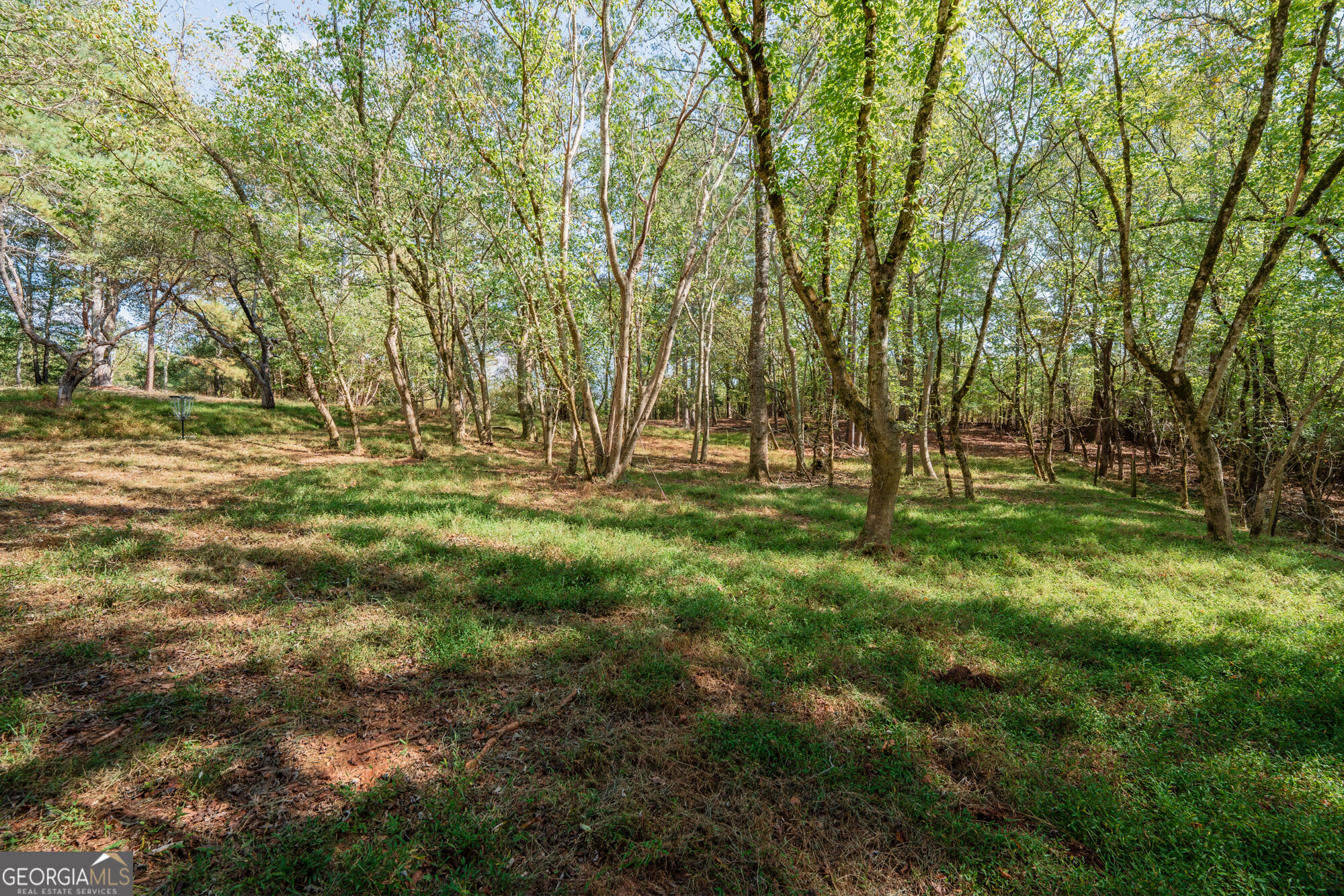469 Flatbottom Road Property Photo 15