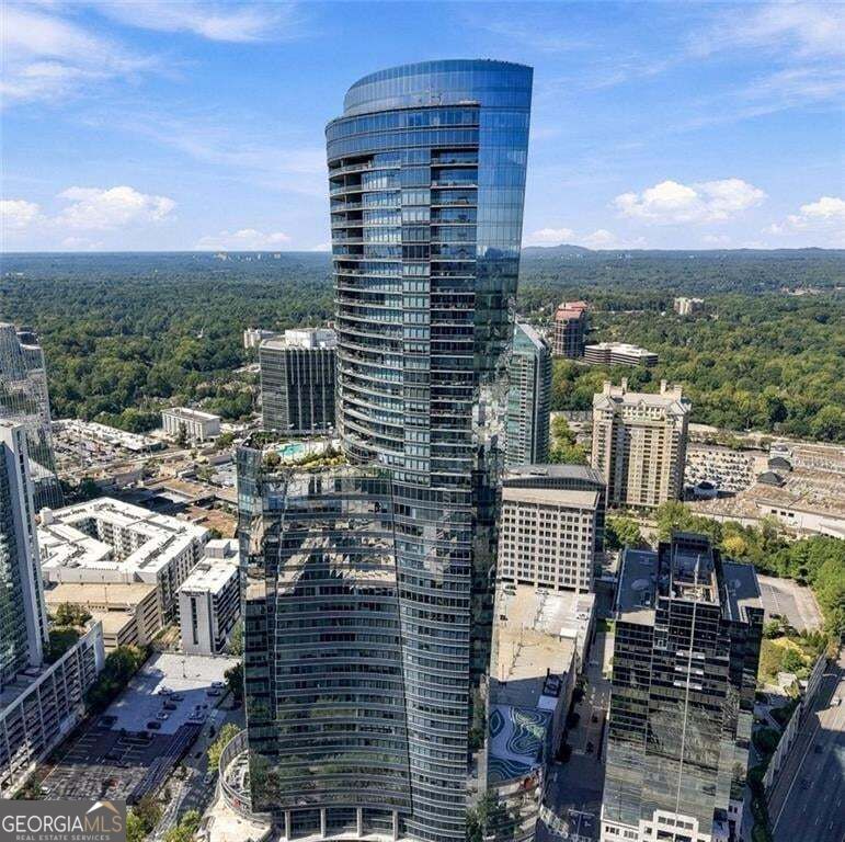 3344 Peachtree Road Ne # 4203 Property Photo 3
