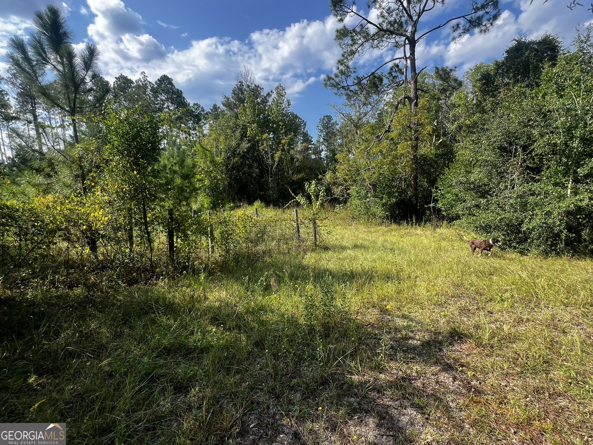 3288 New Hope Rd Property Photo 1