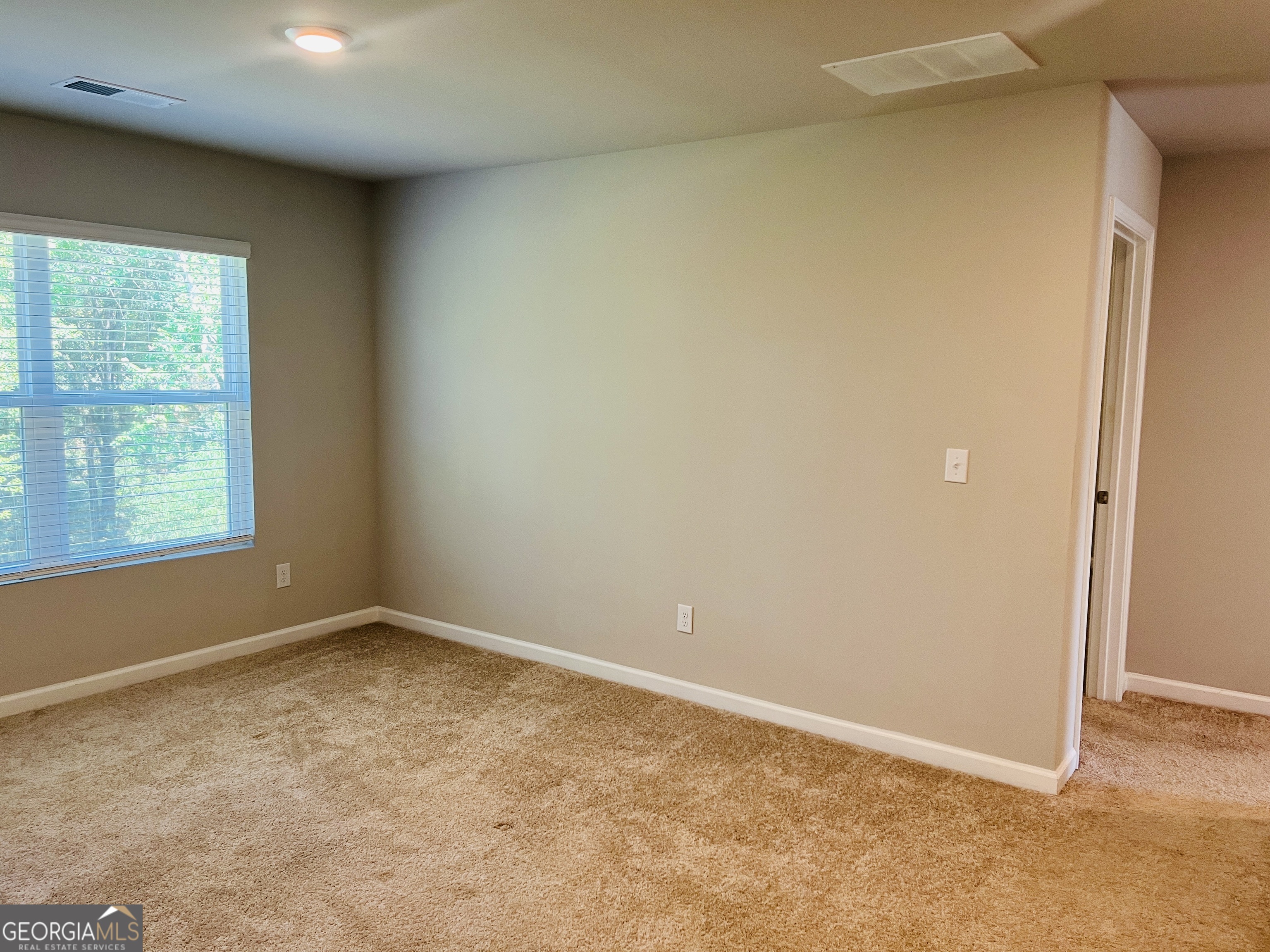 138 Silver Birch Pass Property Photo 29