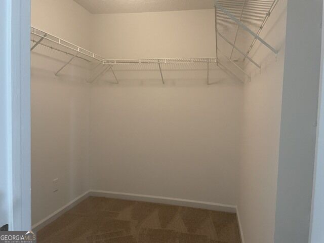 10724 Starling Trail Property Photo 11
