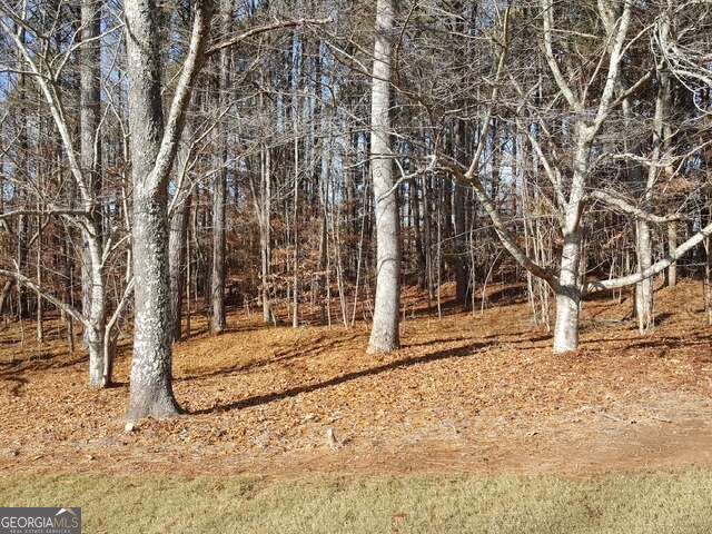 104 Hawks Court Property Photo 1