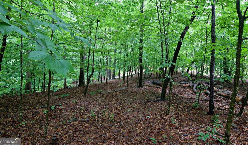 1279 Coneross Point Drive Property Photo 41