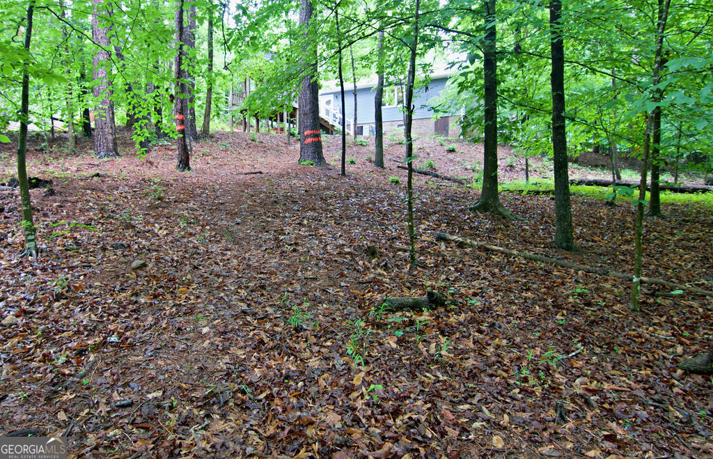 1279 Coneross Point Drive Property Photo 42