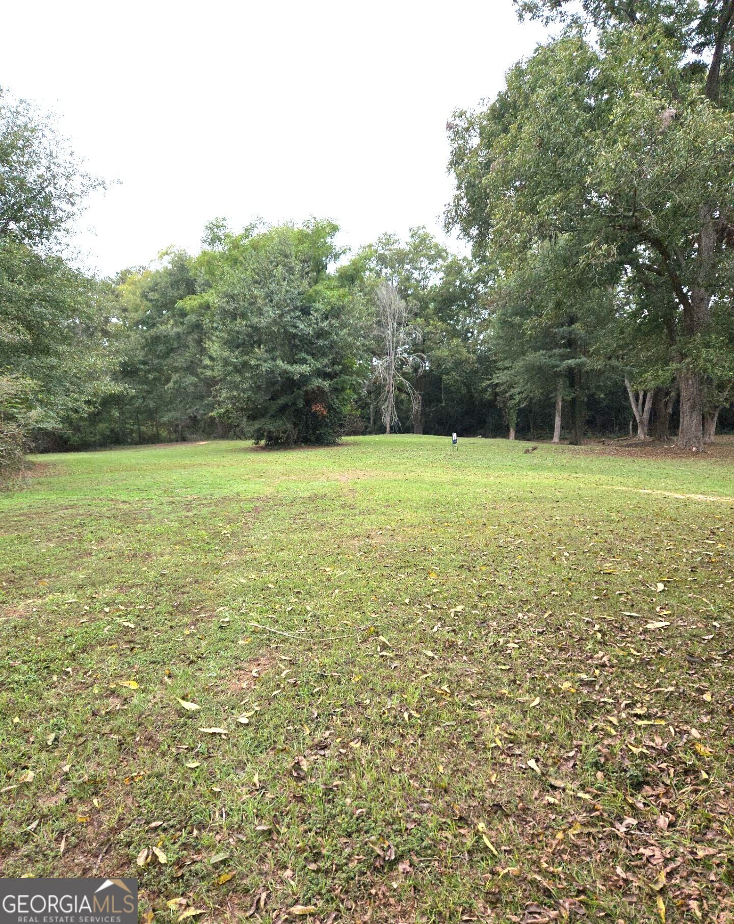 319 Powell Drive Property Photo 2