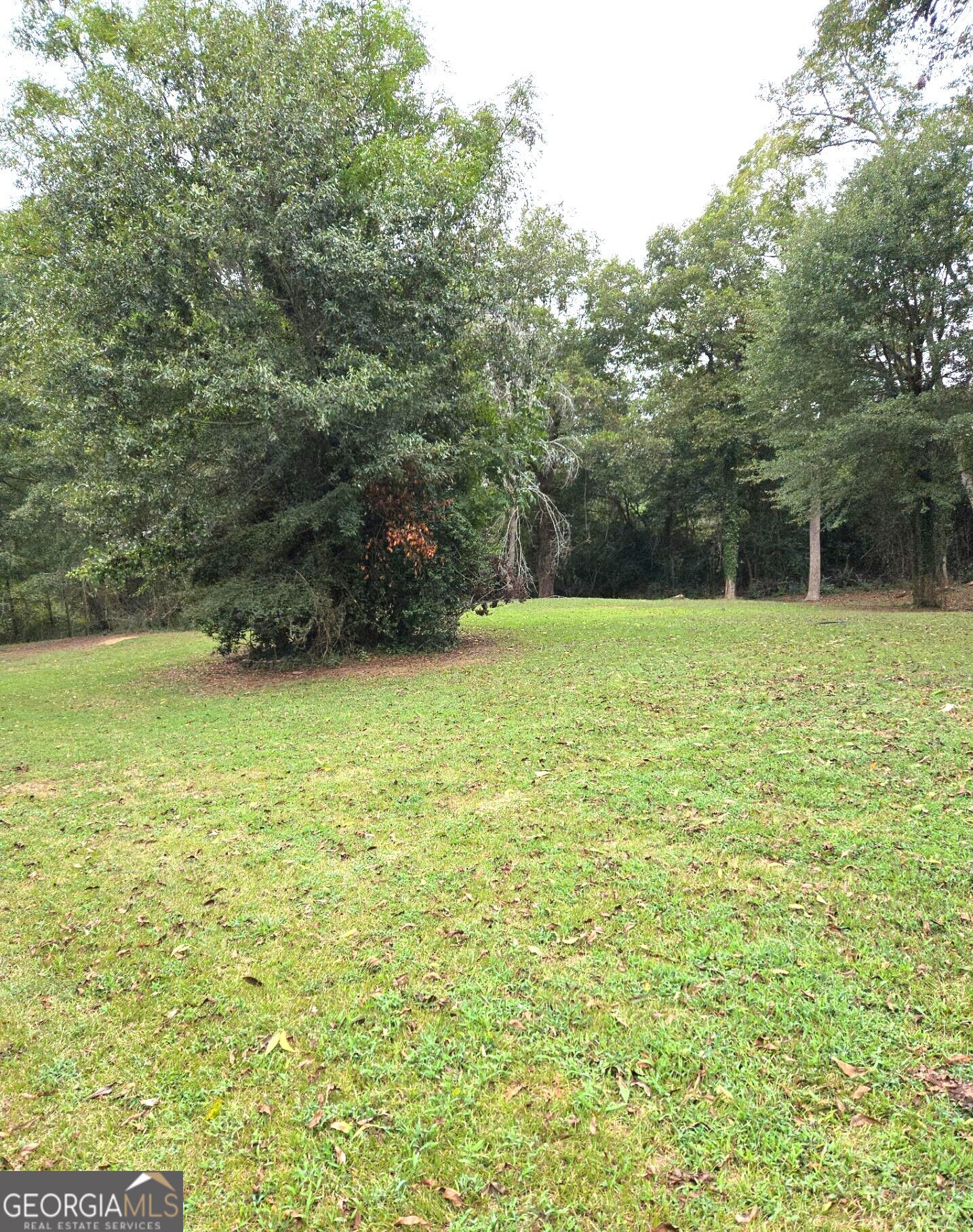 319 Powell Drive Property Photo 4