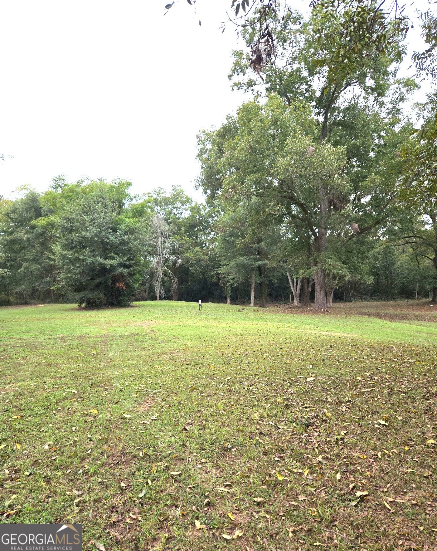 319 Powell Drive Property Photo 5