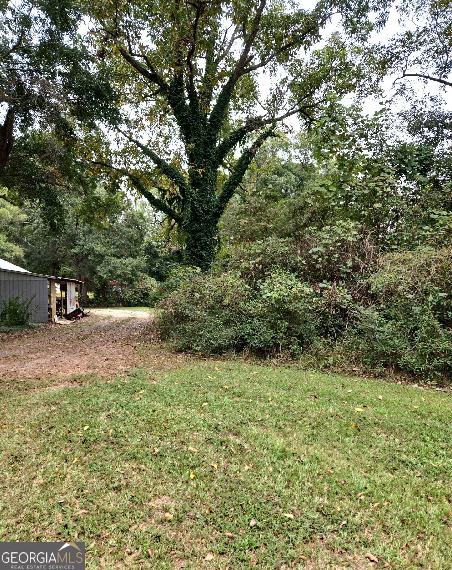 319 Powell Drive Property Photo 6