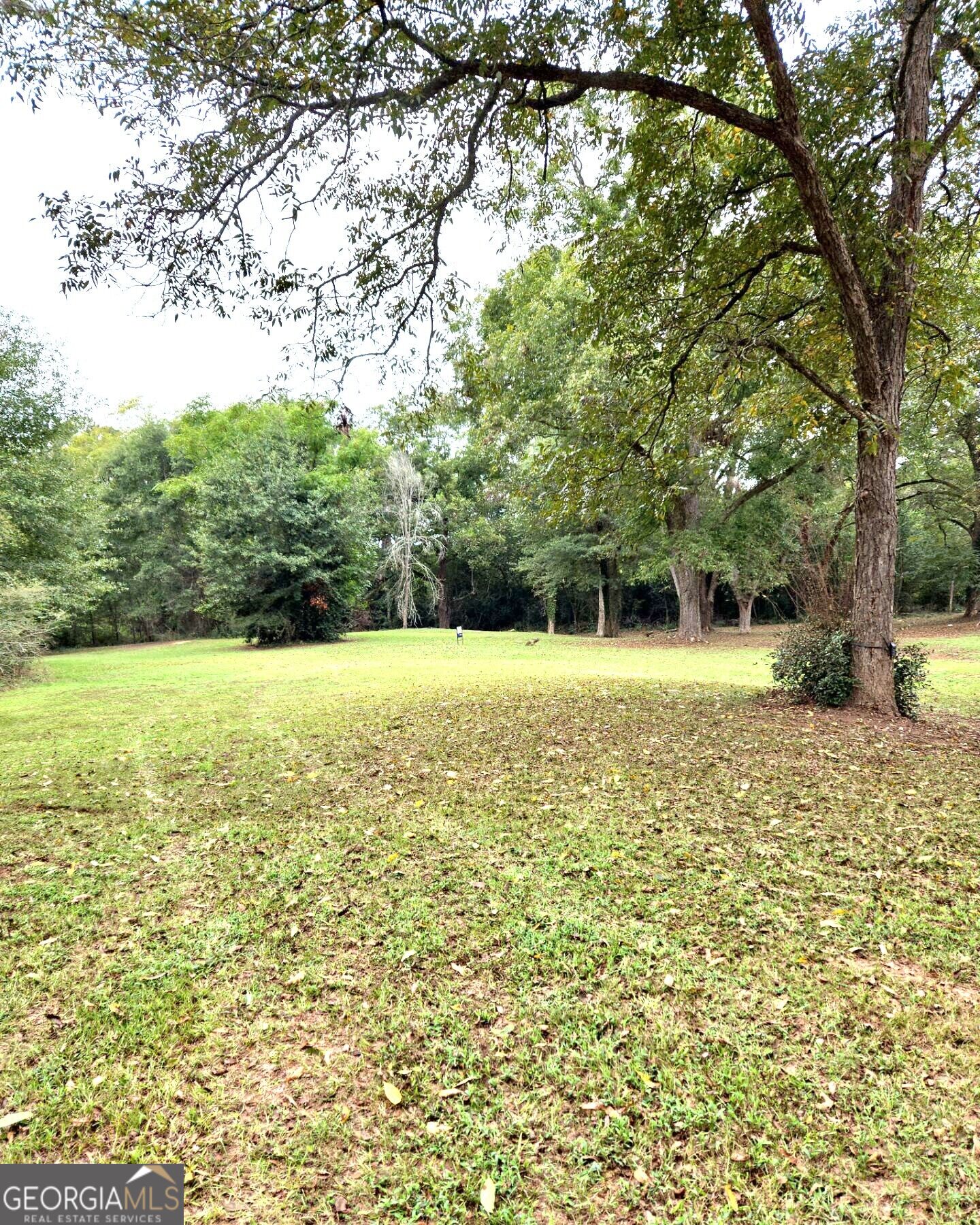 319 Powell Drive Property Photo 7