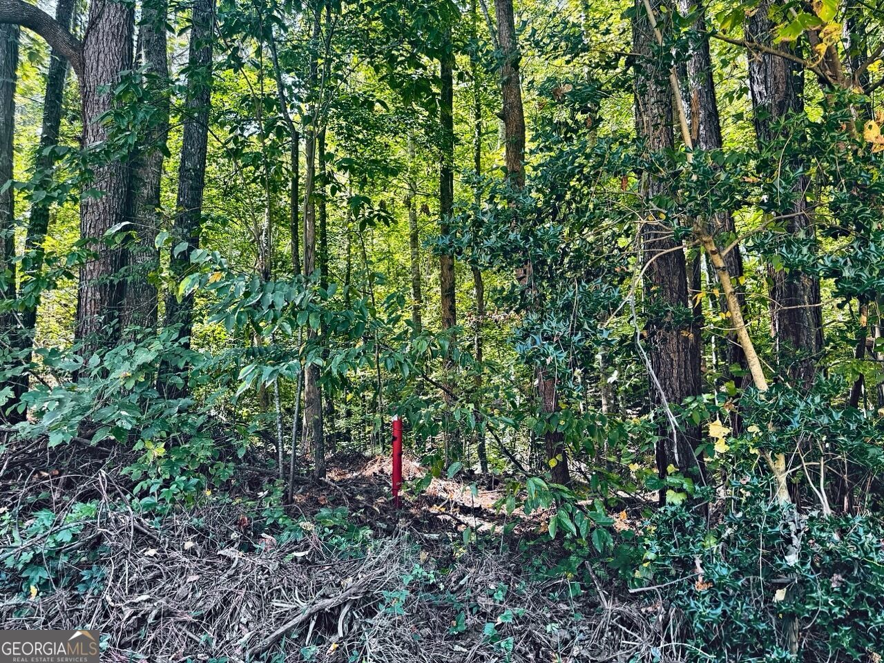 3349 Confederate Point