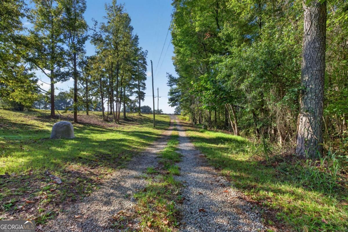 12208 Buchanan Highway Property Photo 5