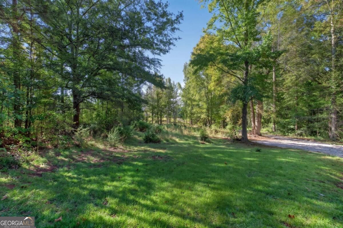 12208 Buchanan Highway Property Photo 25