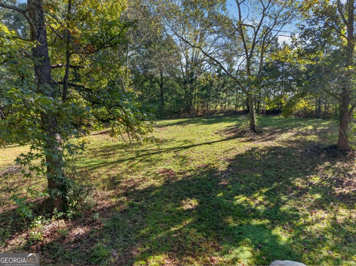 12208 Buchanan Highway Property Photo 28