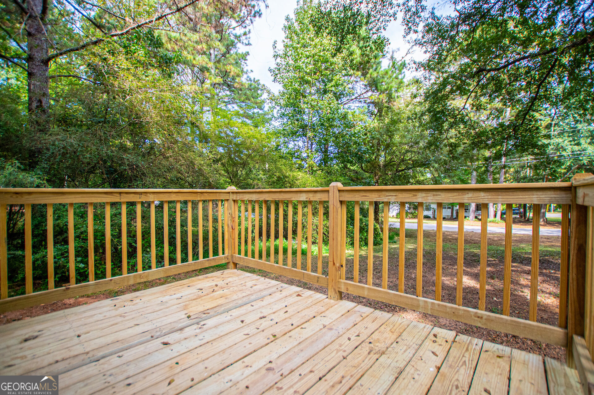 77 Rock Springs Lake Drive Property Photo 6