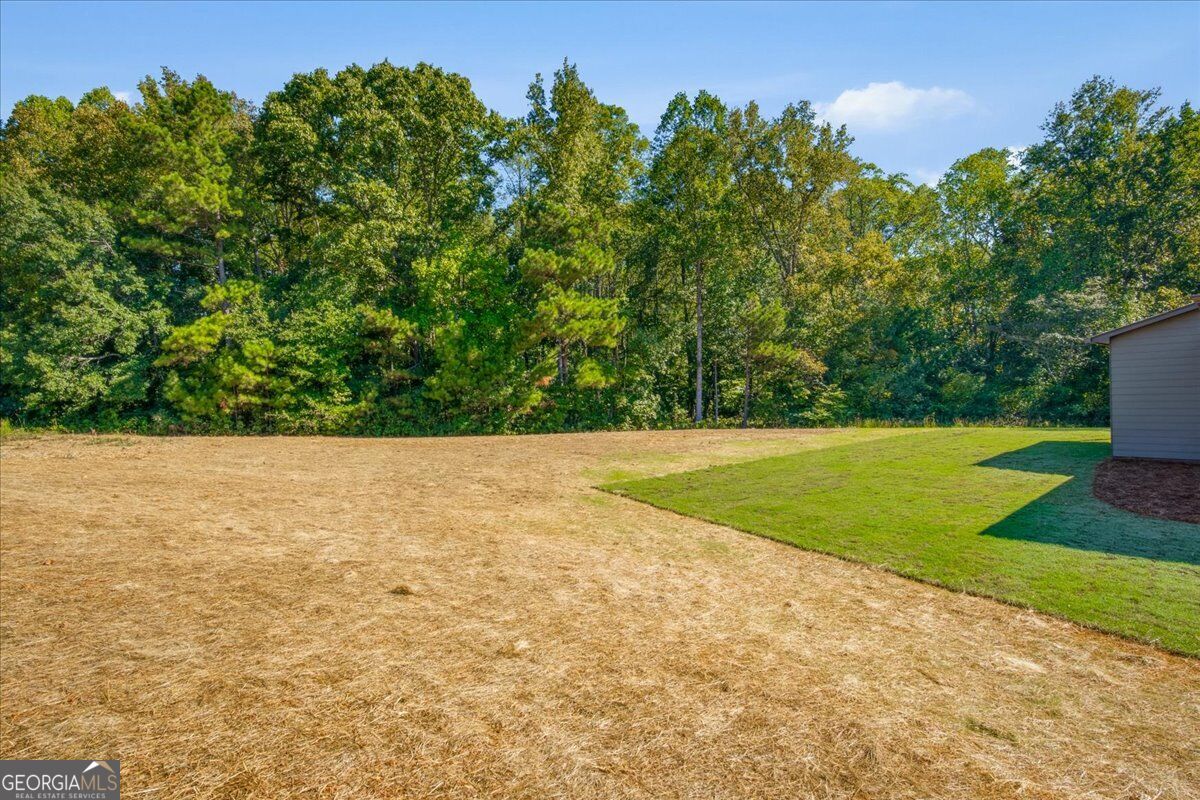 61 Goodman Path Property Photo 34