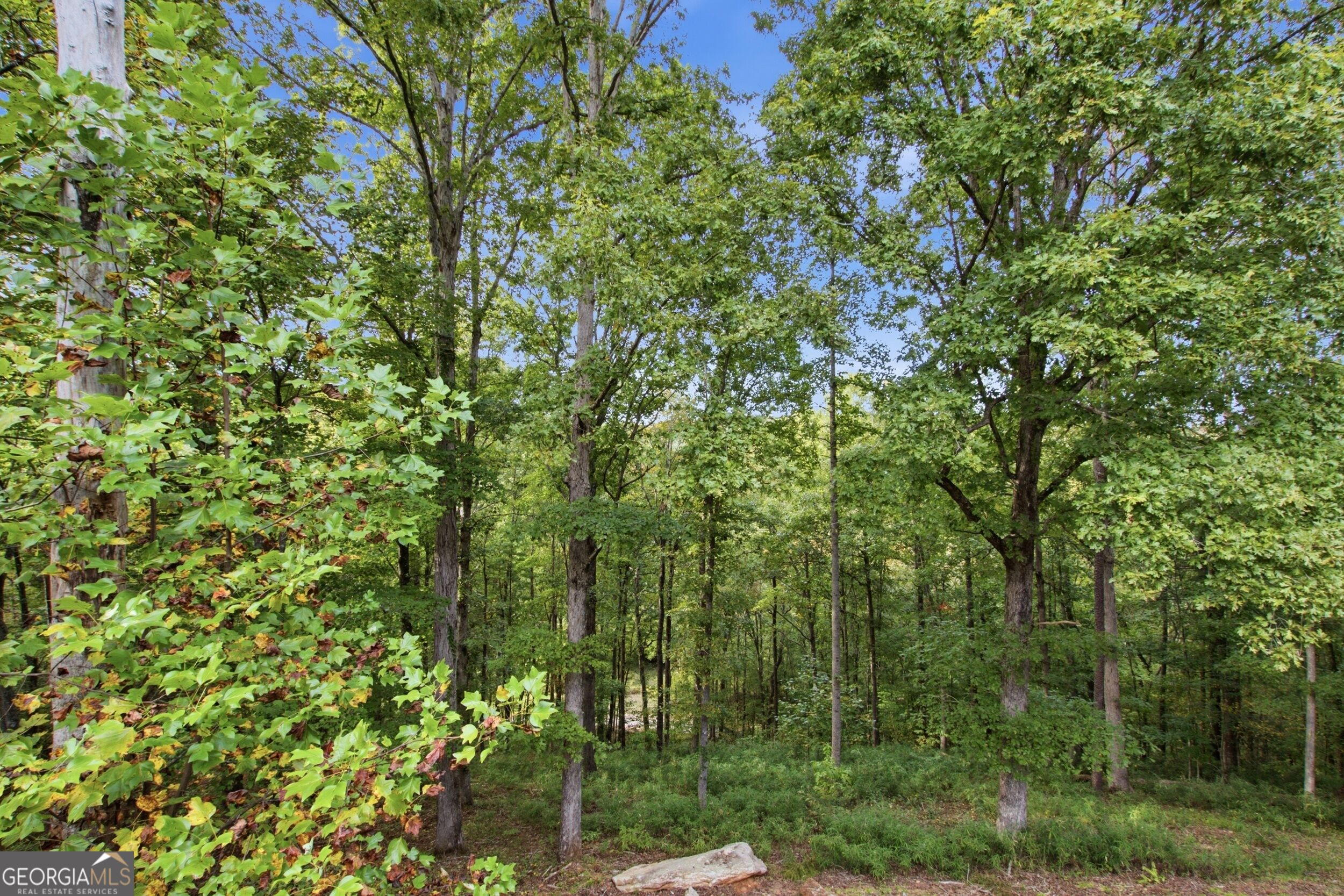 699 Cobblestone Lane Property Photo 37