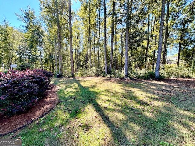 1168 Hannahs Mill Road Property Photo 4