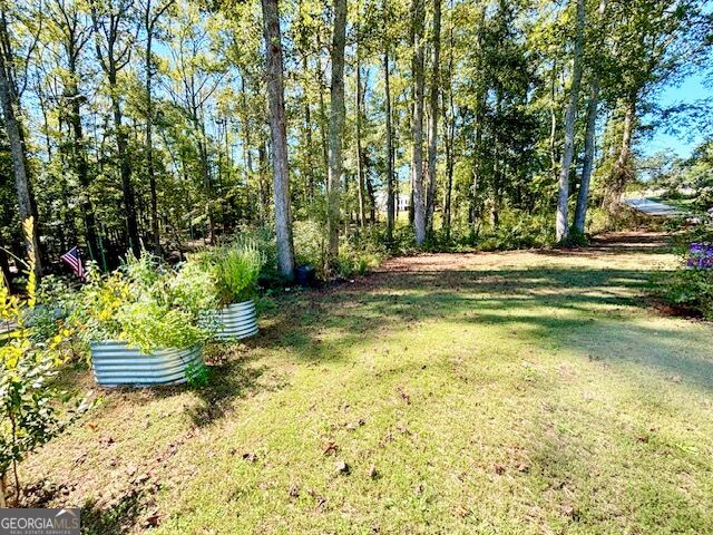 1168 Hannahs Mill Road Property Photo 33
