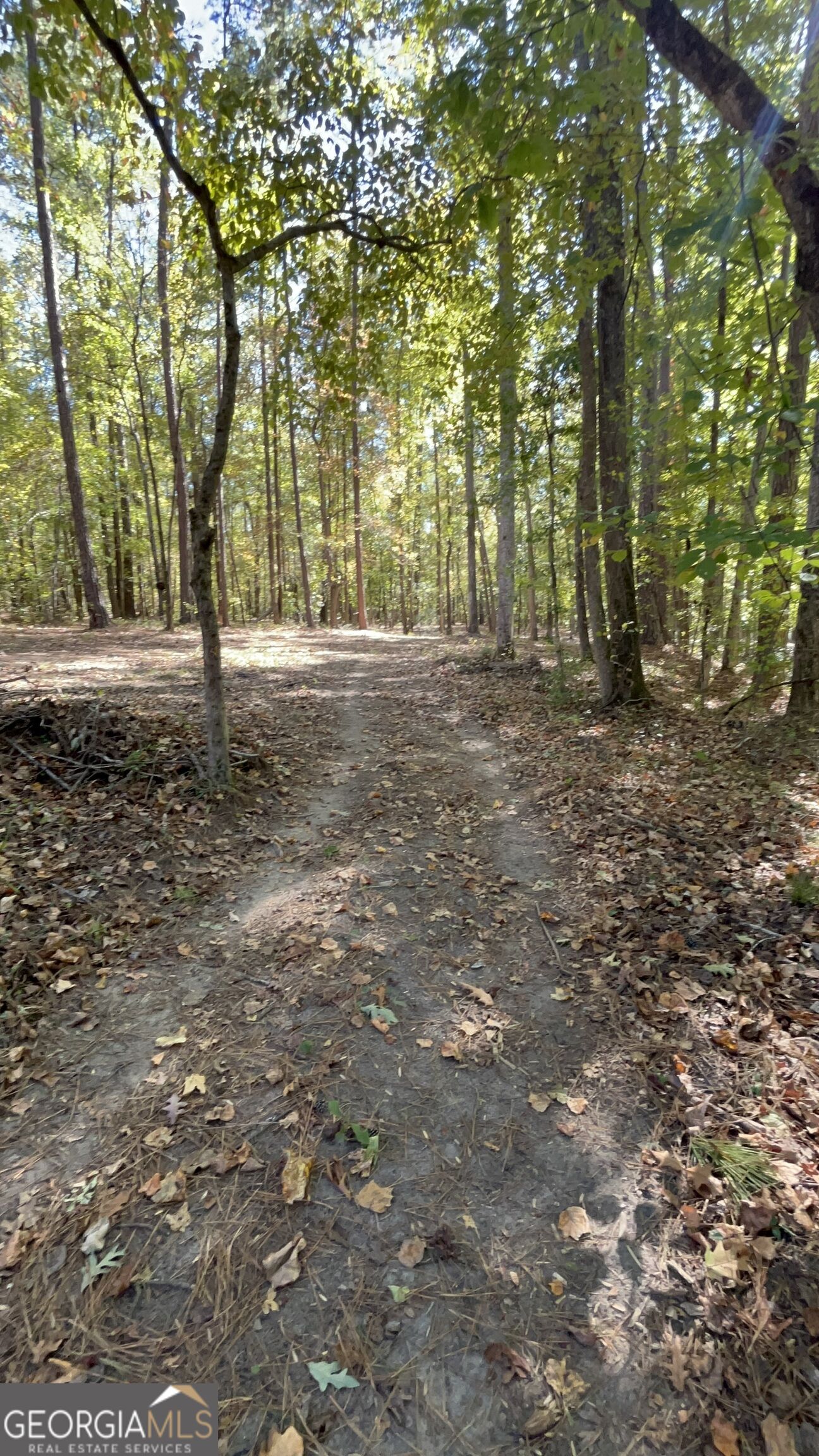 1377 Winding Ridge Drive Property Photo 61