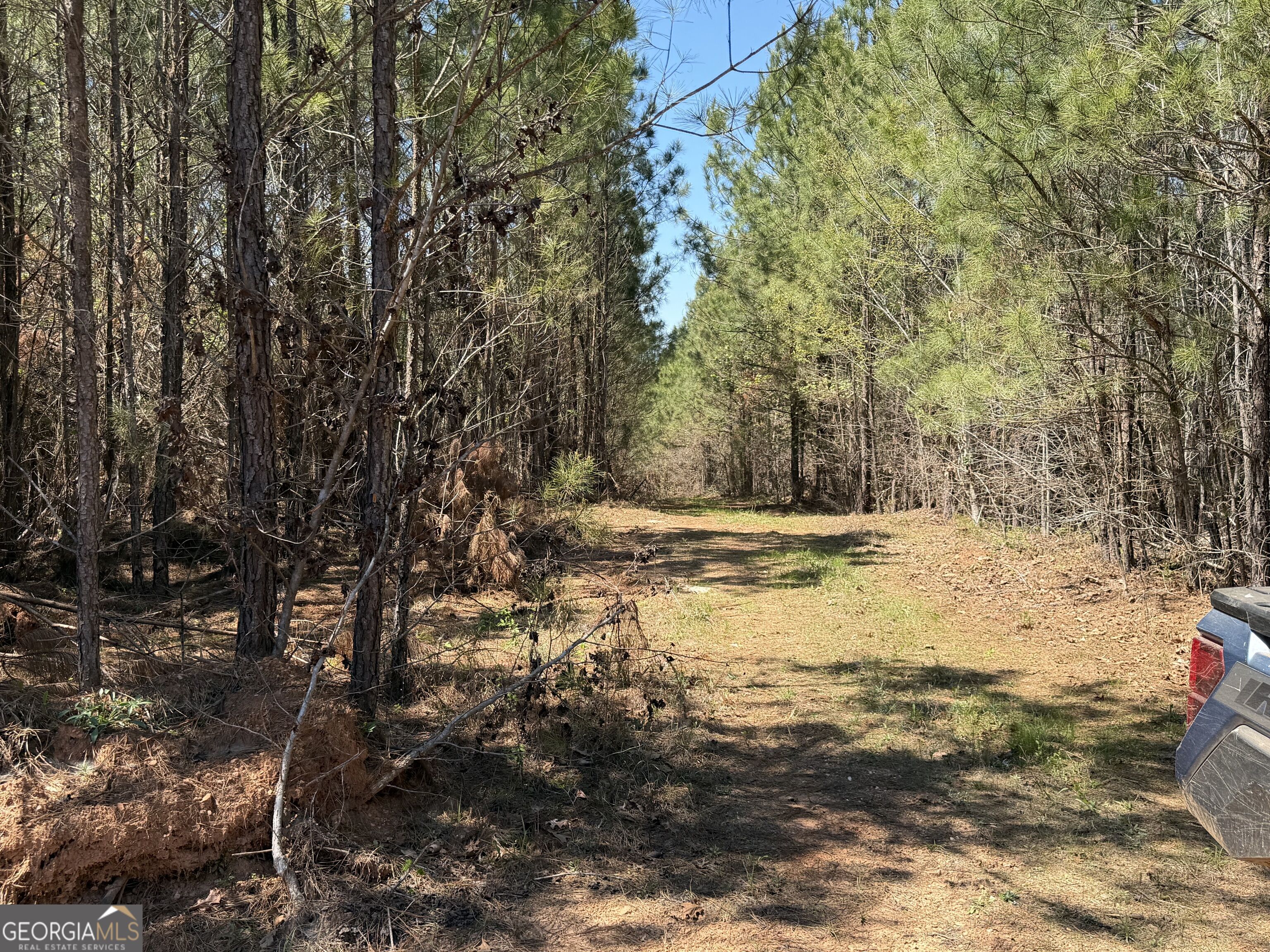 0 County Road 79 Property Photo 1