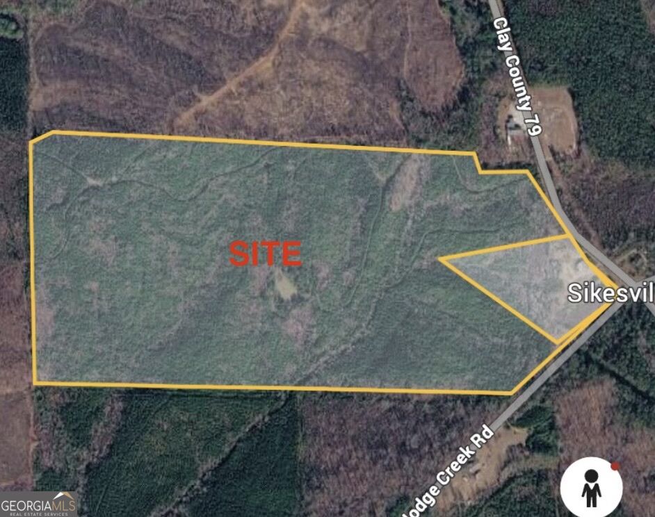 0 County Road 79 Property Photo 4