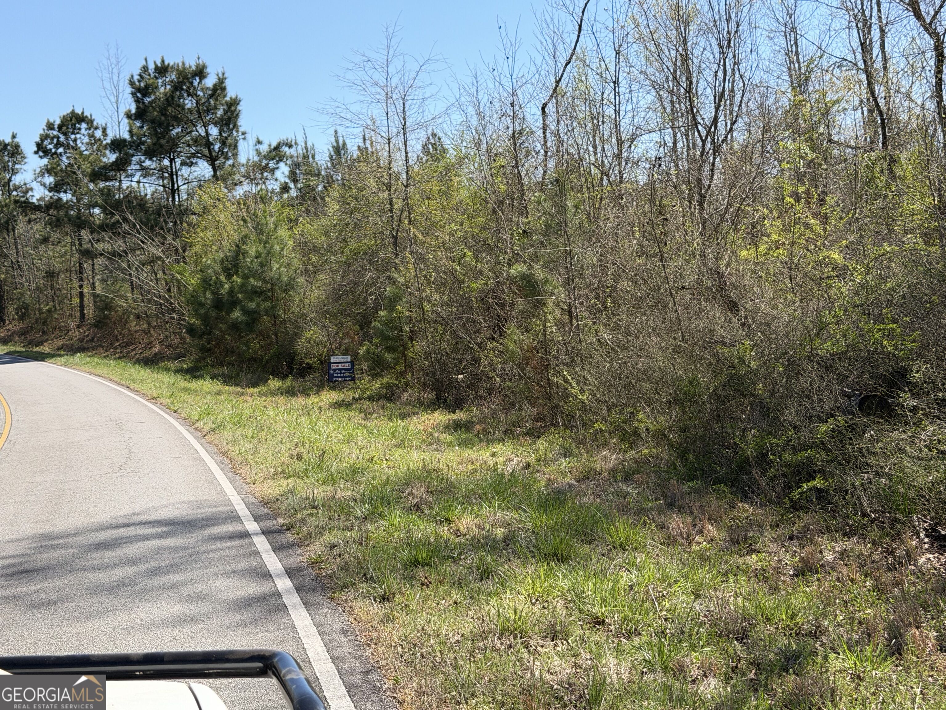 0 County Road 79 Property Photo 11