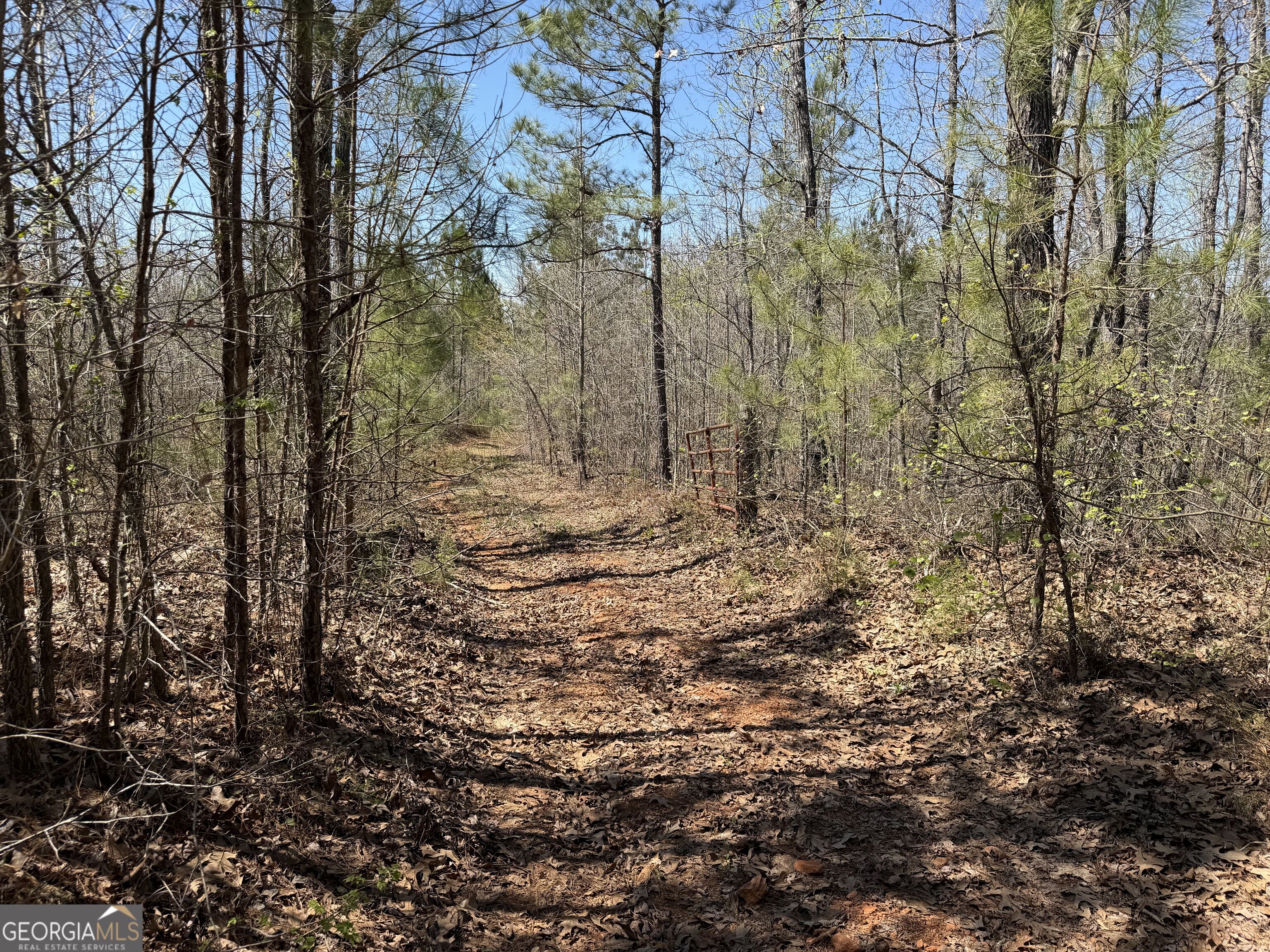 0 County Road 79 Property Photo 15