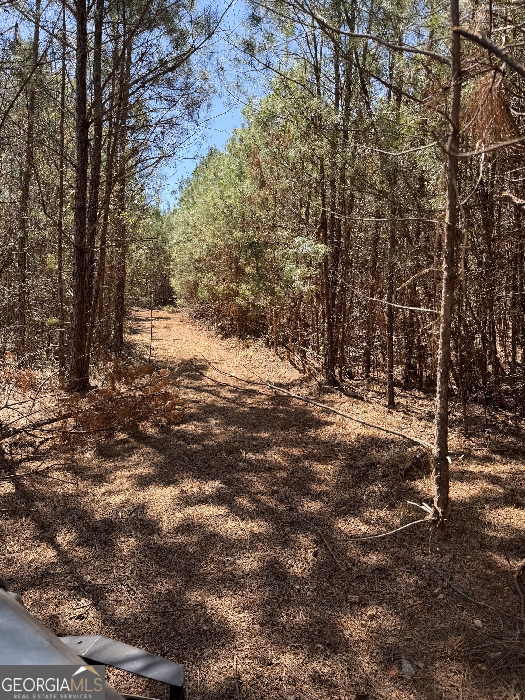 0 County Road 79 Property Photo 16