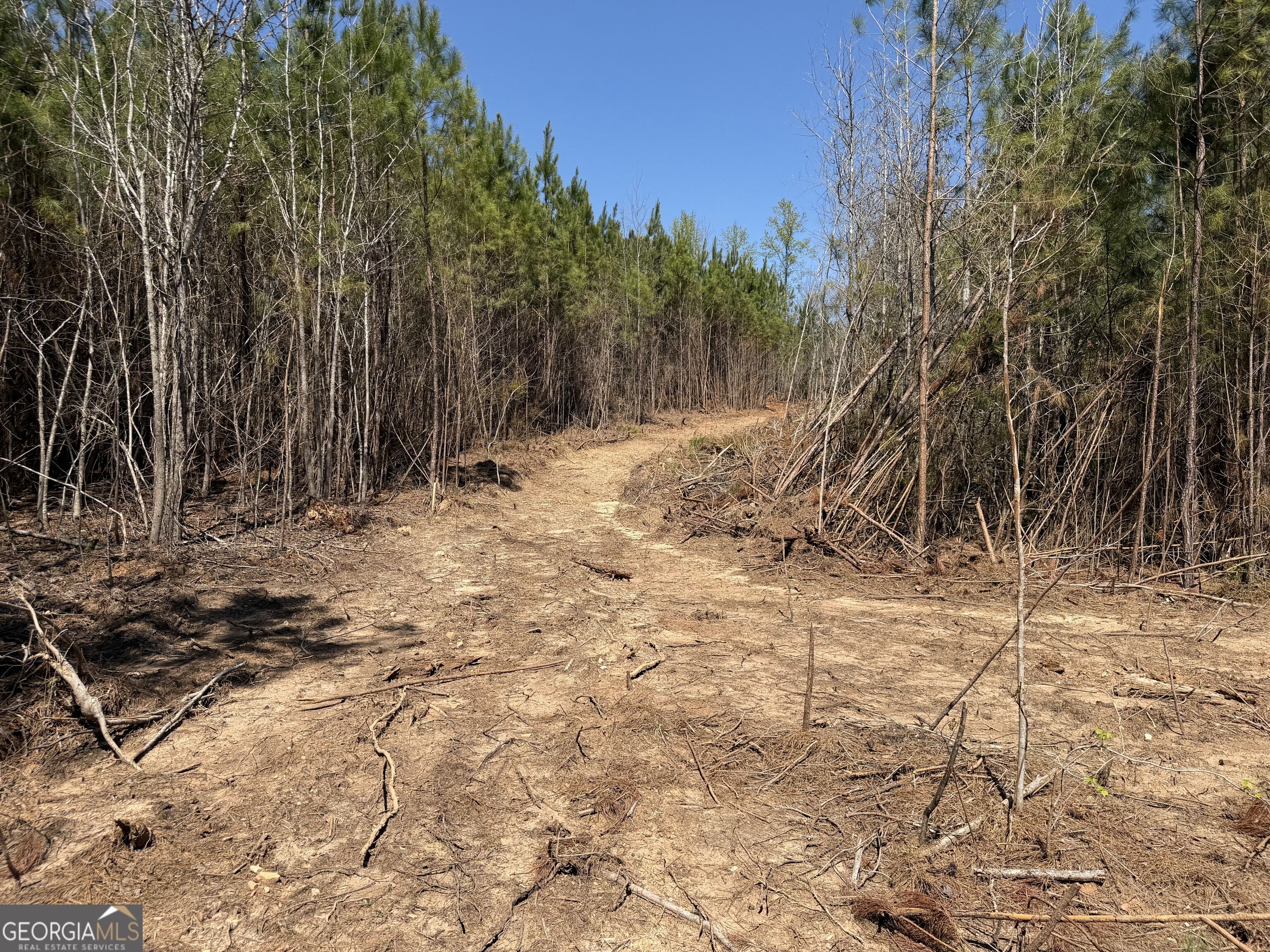 0 County Road 79 Property Photo 18