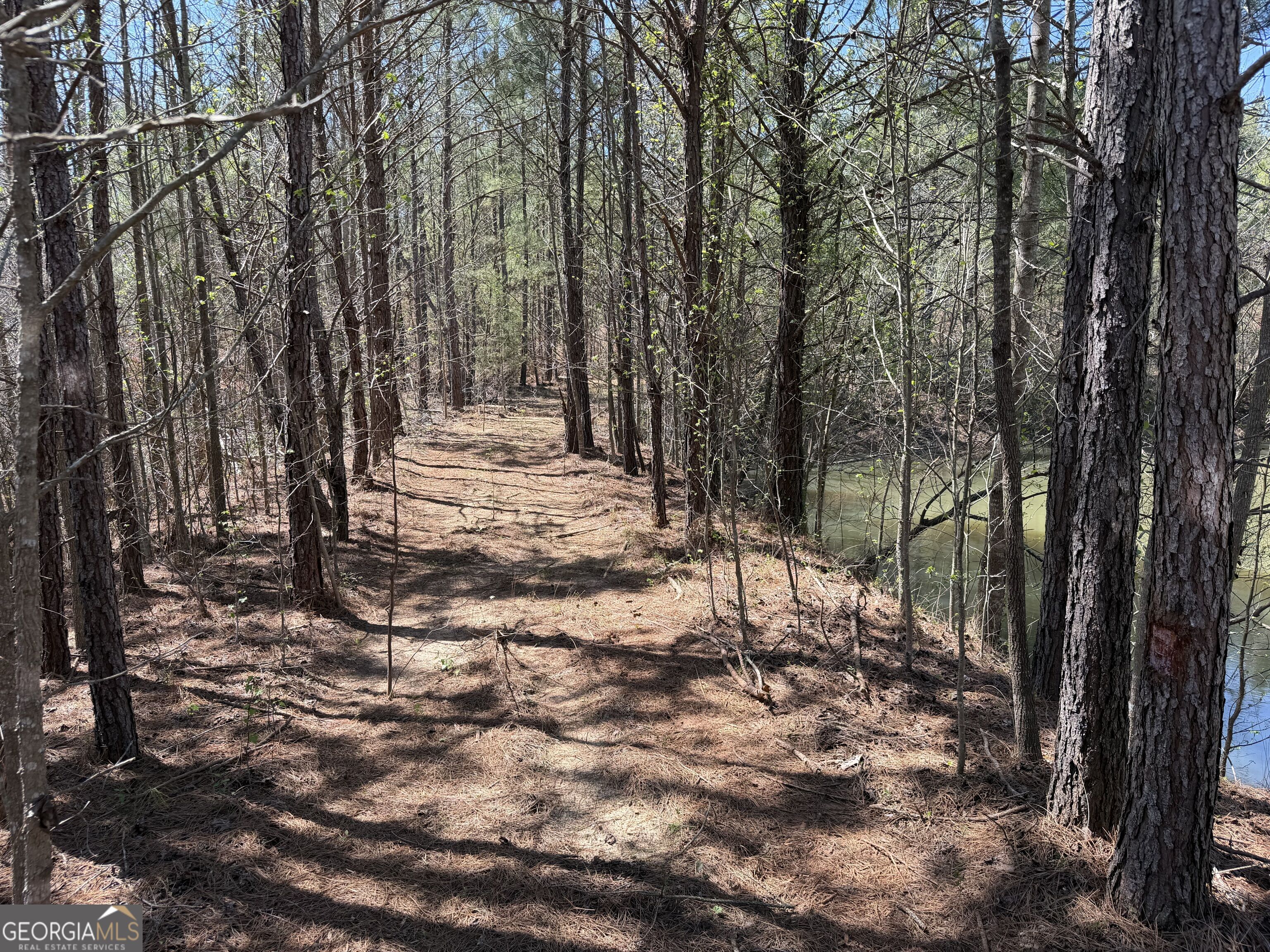 0 County Road 79 Property Photo 19